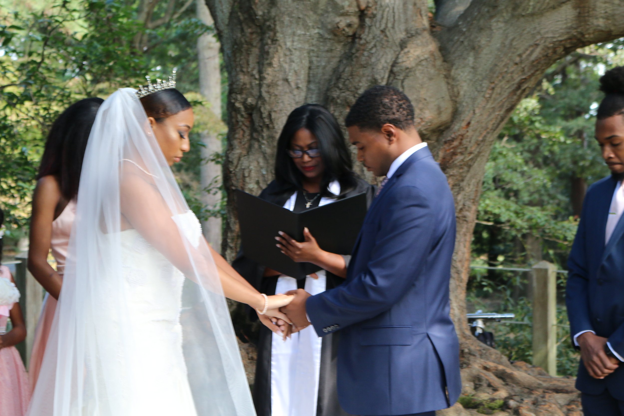 A couple getting married, holding hands and exchanging vows outdoors under a tree, with an officiant and witnesses present.