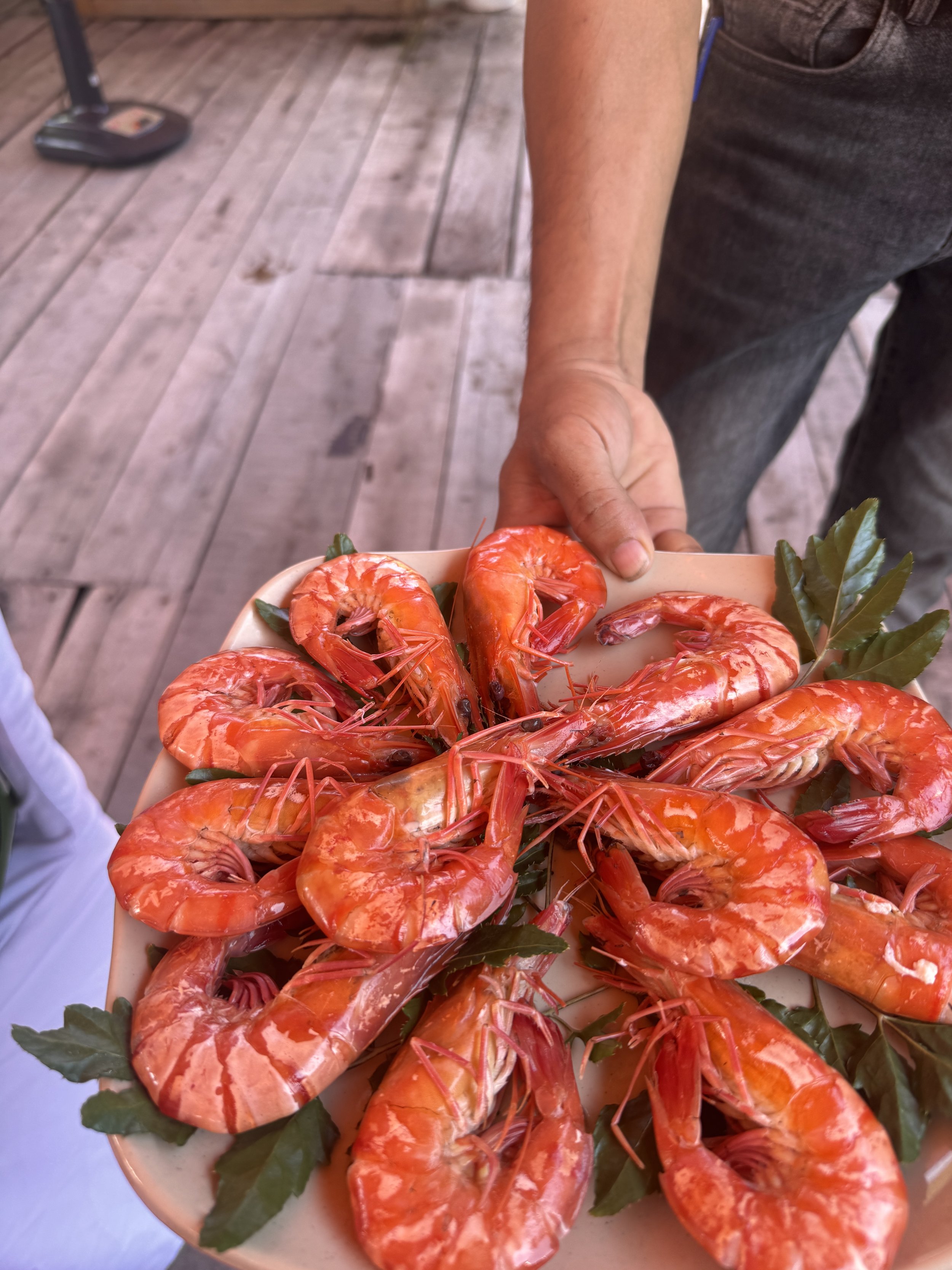 This floating restaurant in Halong Bay served the best Vietnamese food I’ve ever  eaten