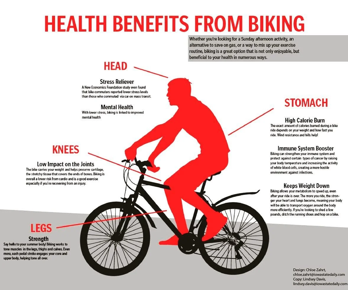 Body Shape Cycling Is Good For Which Part Of Body Mountain Biking