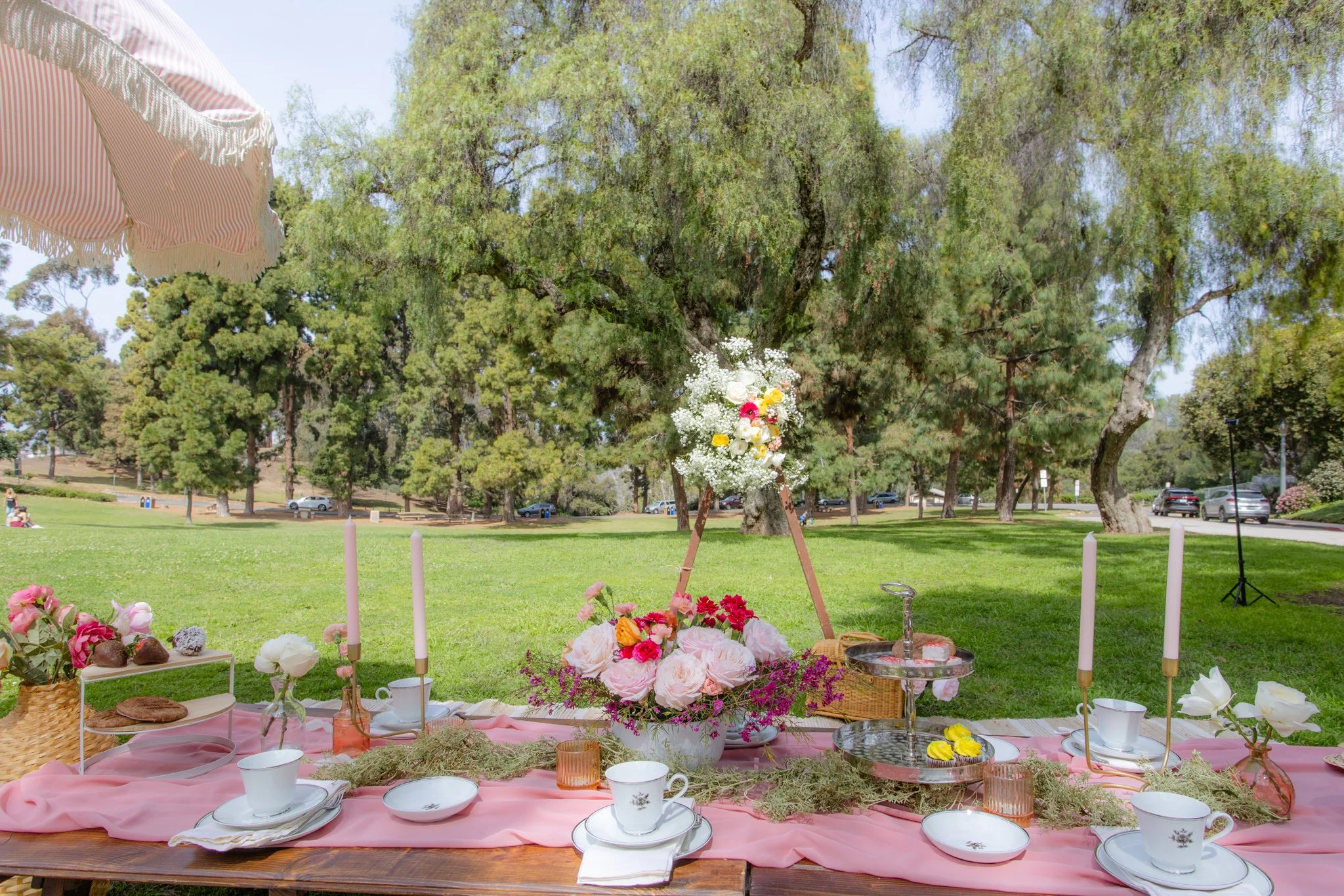 San Diego Picnics Luxury Picnics