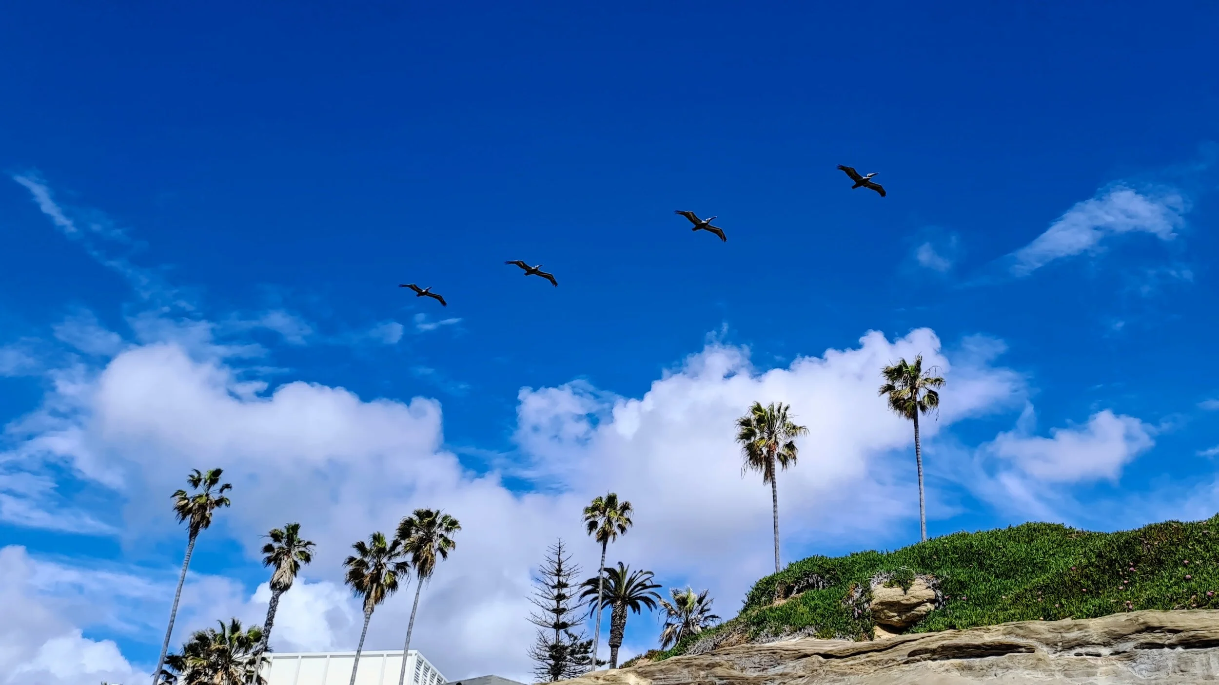 New Year, Fresh Air: Embracing 2024 Outdoors in San Diego this January
