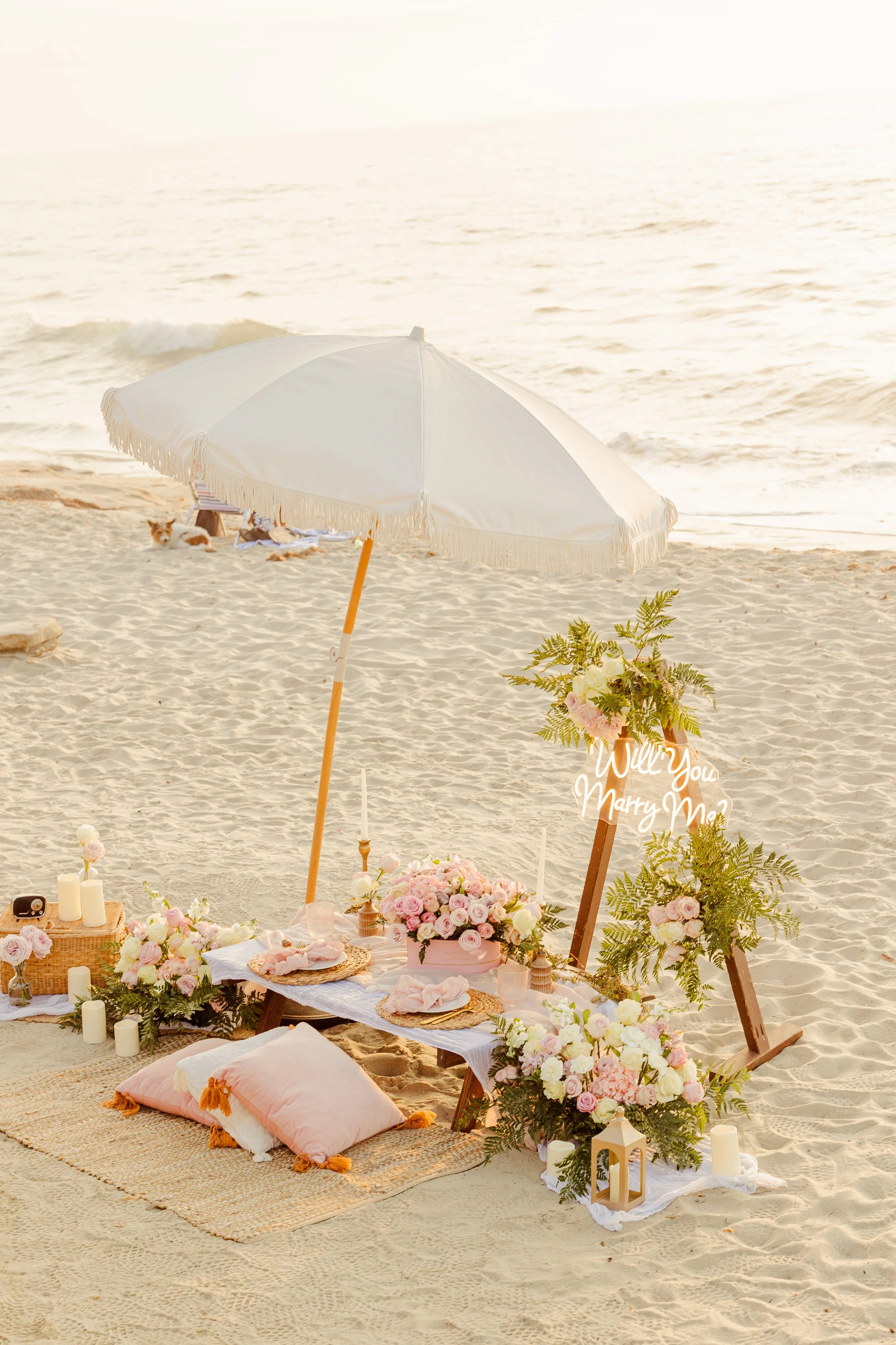 Ultimate Romance Luxury Picnic Proposal : La Jolla Ca.