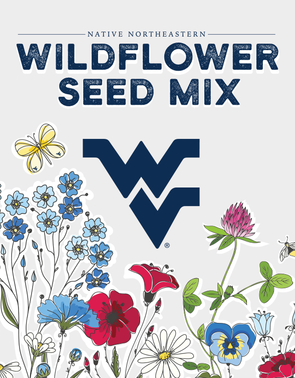 Wildflower Seed Packet Design