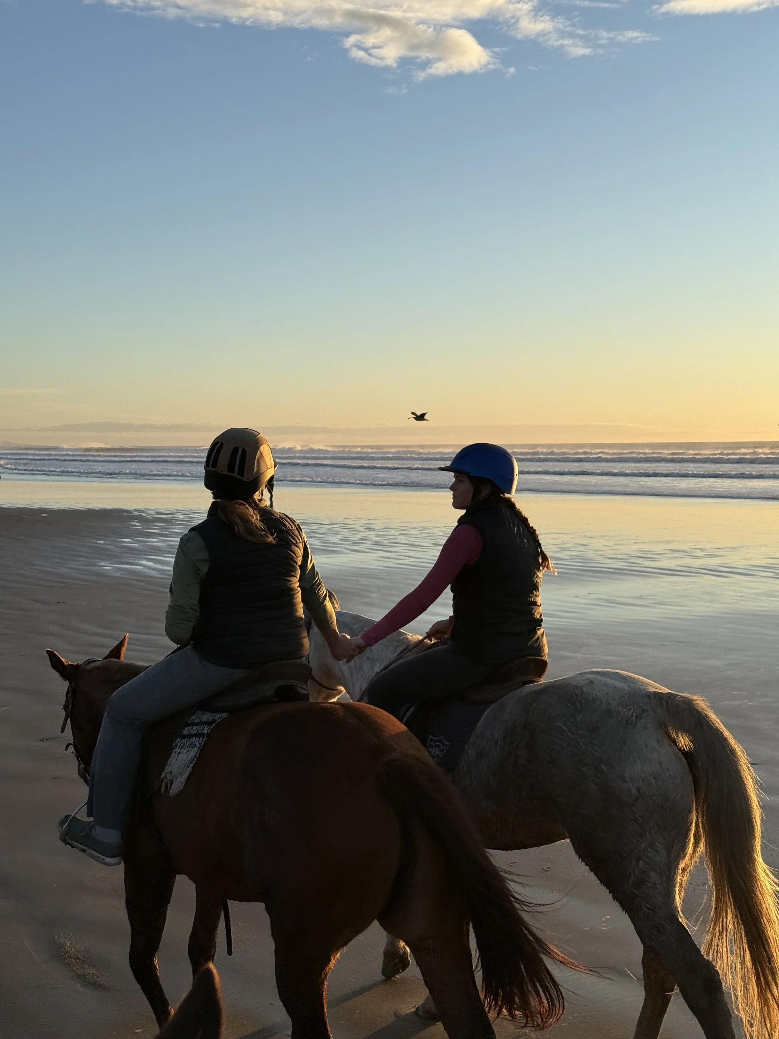 FRIDAY SUNSET MORRO BAY BONFIRE - POLO PONY BEACH RIDE