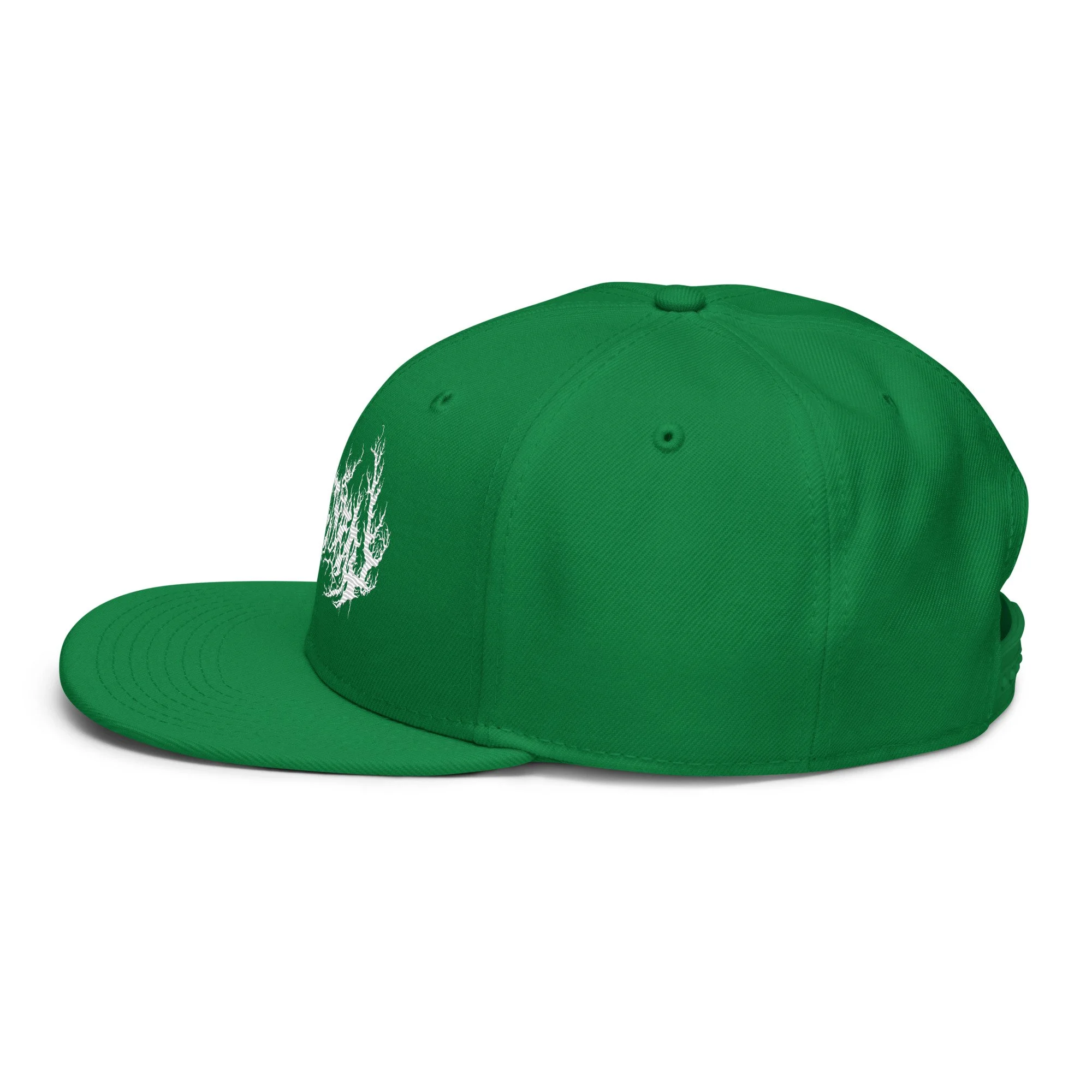 snapback-kelly-green-left-side-687ec0a6dfe69.jpg