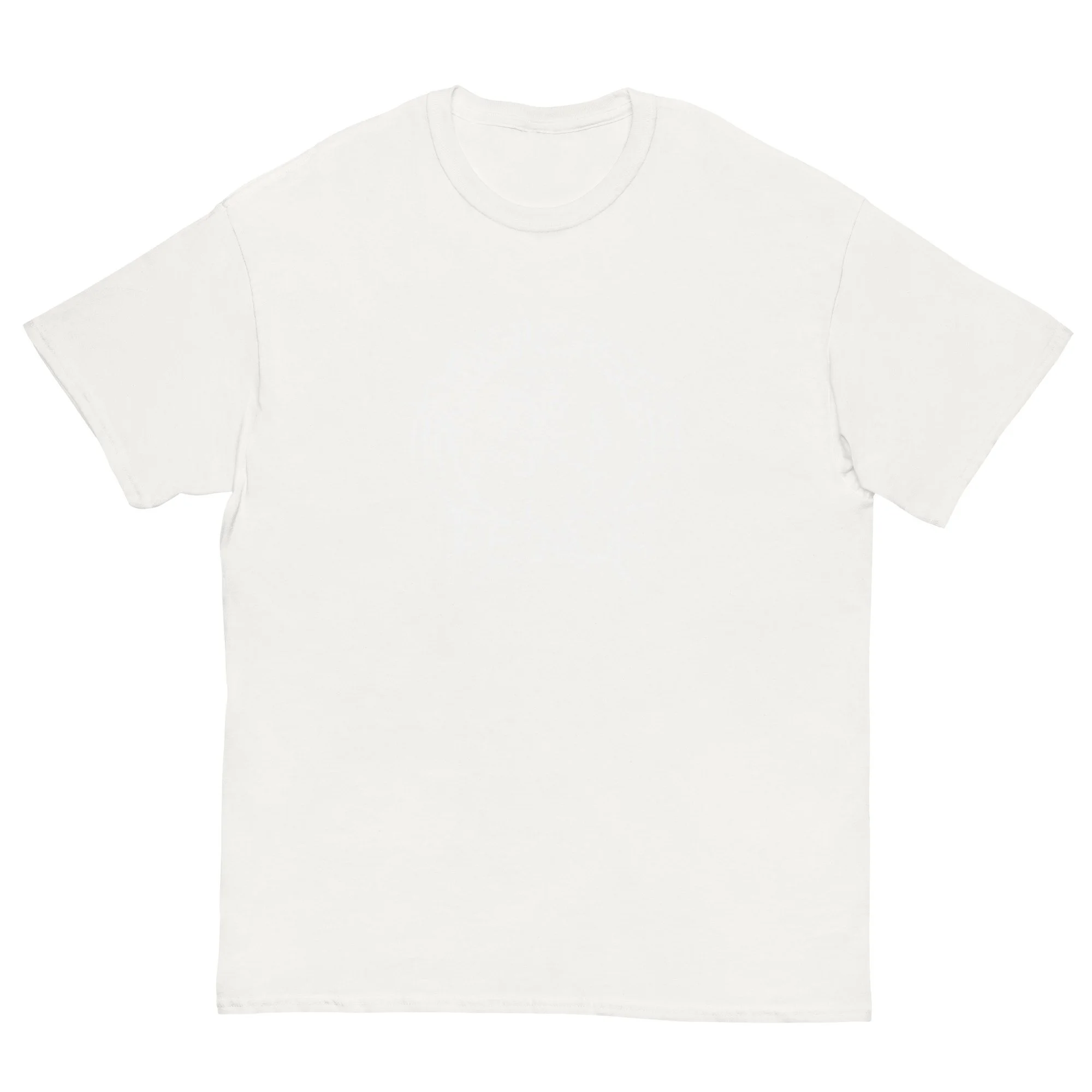 unisex-classic-tee-white-front-68811cb9d016c.jpg