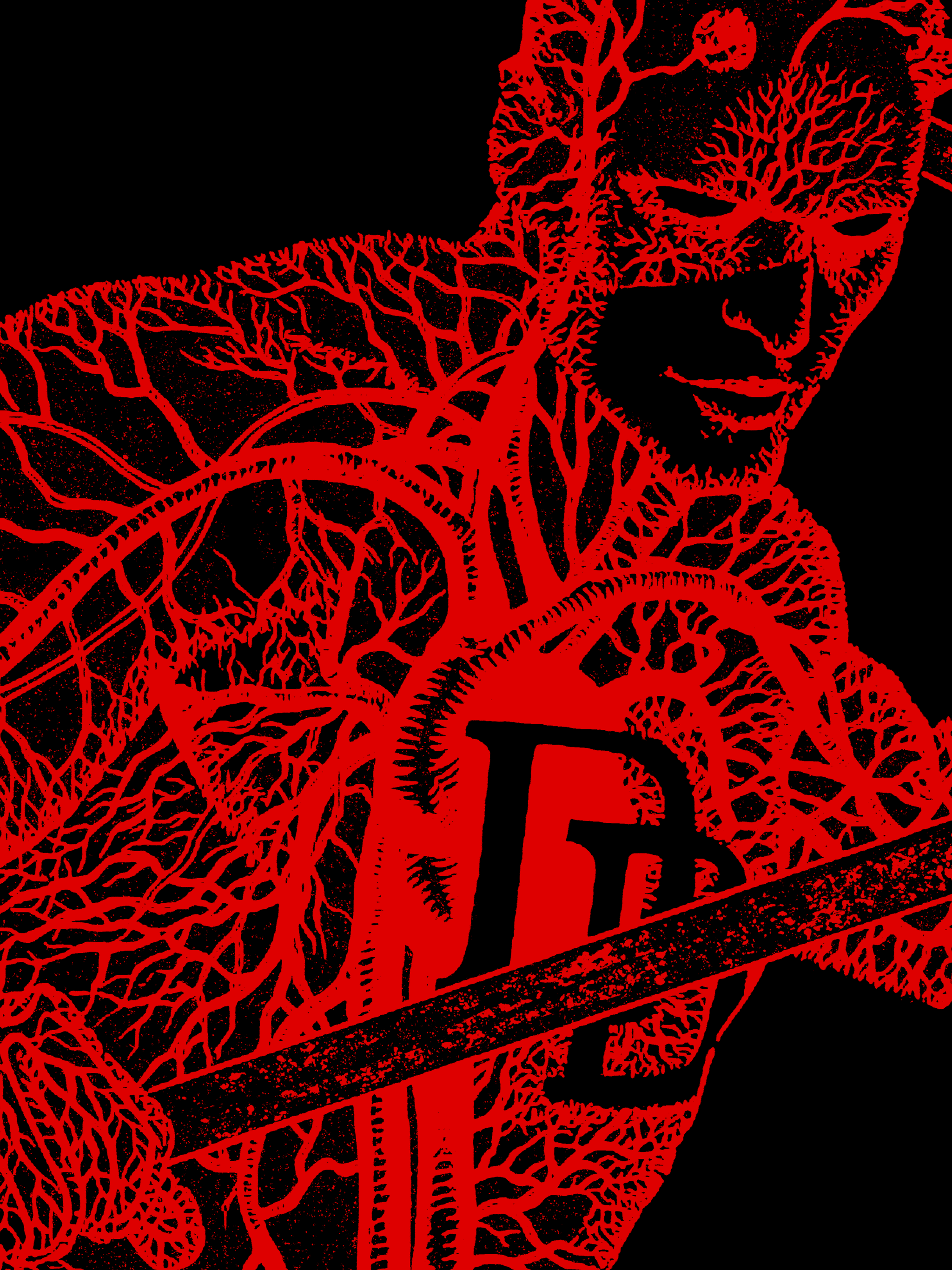 IMG_5131.png