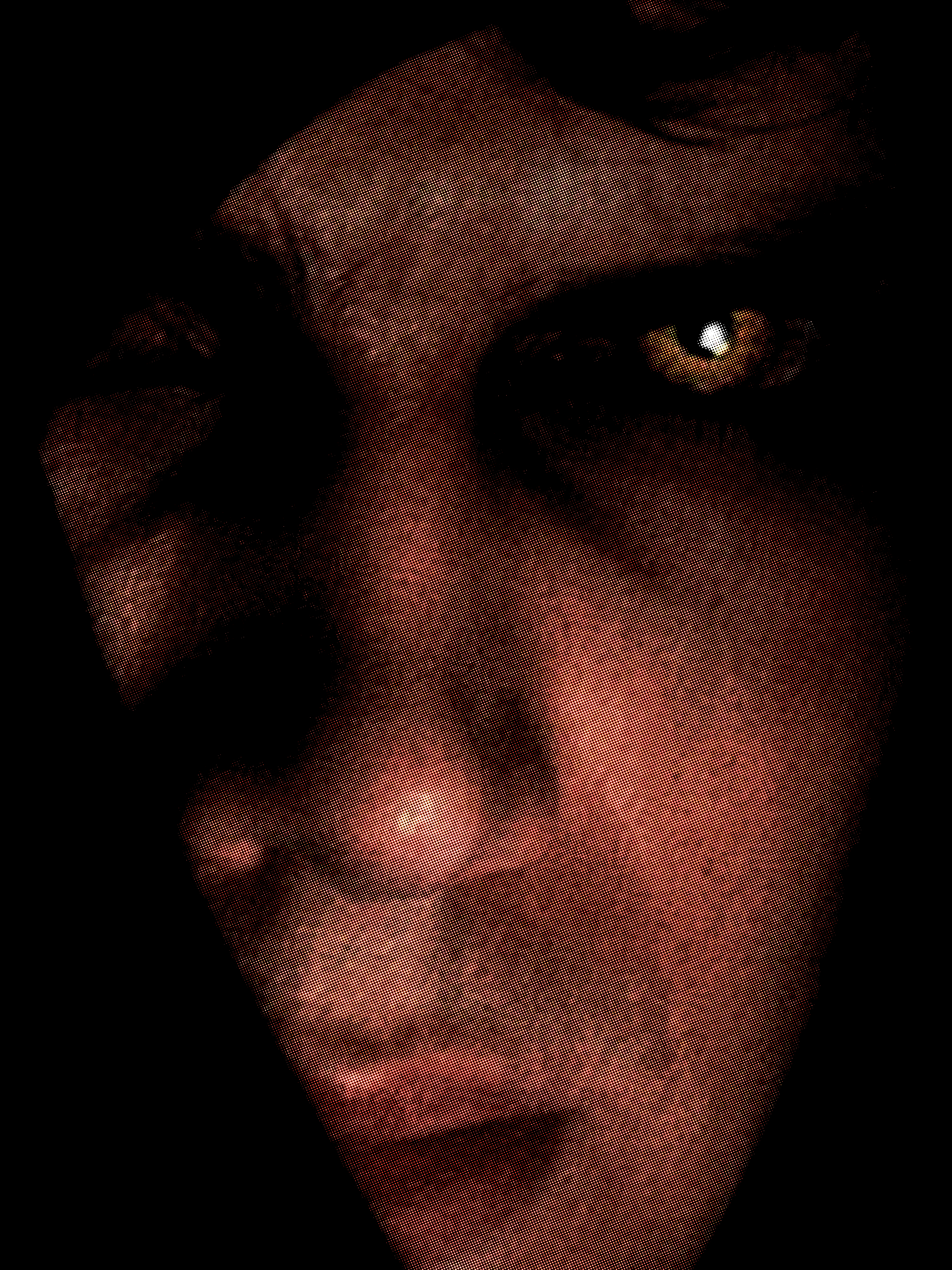 IMG_9600.png
