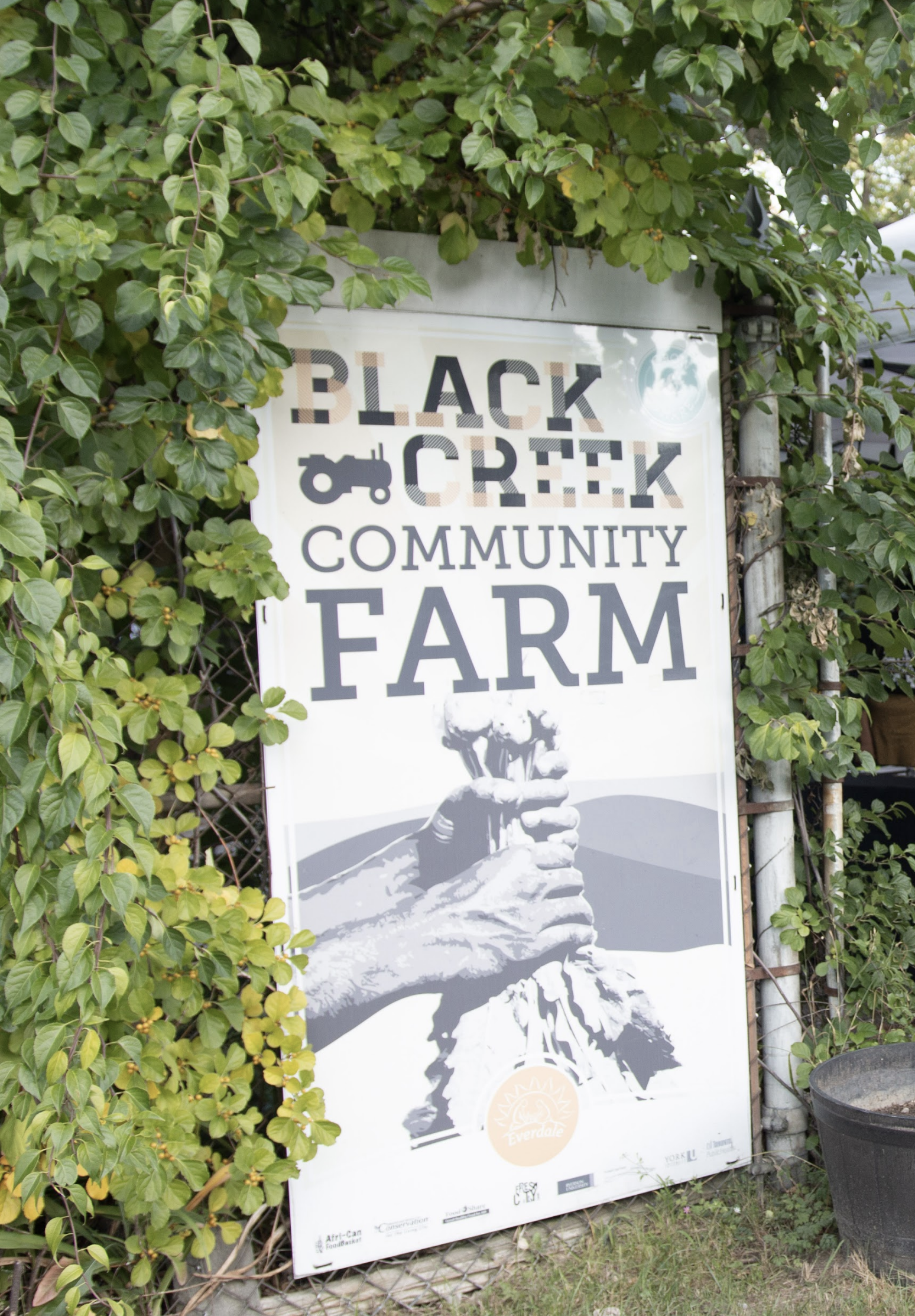 Black Creek Community Farm — Donor Engagement