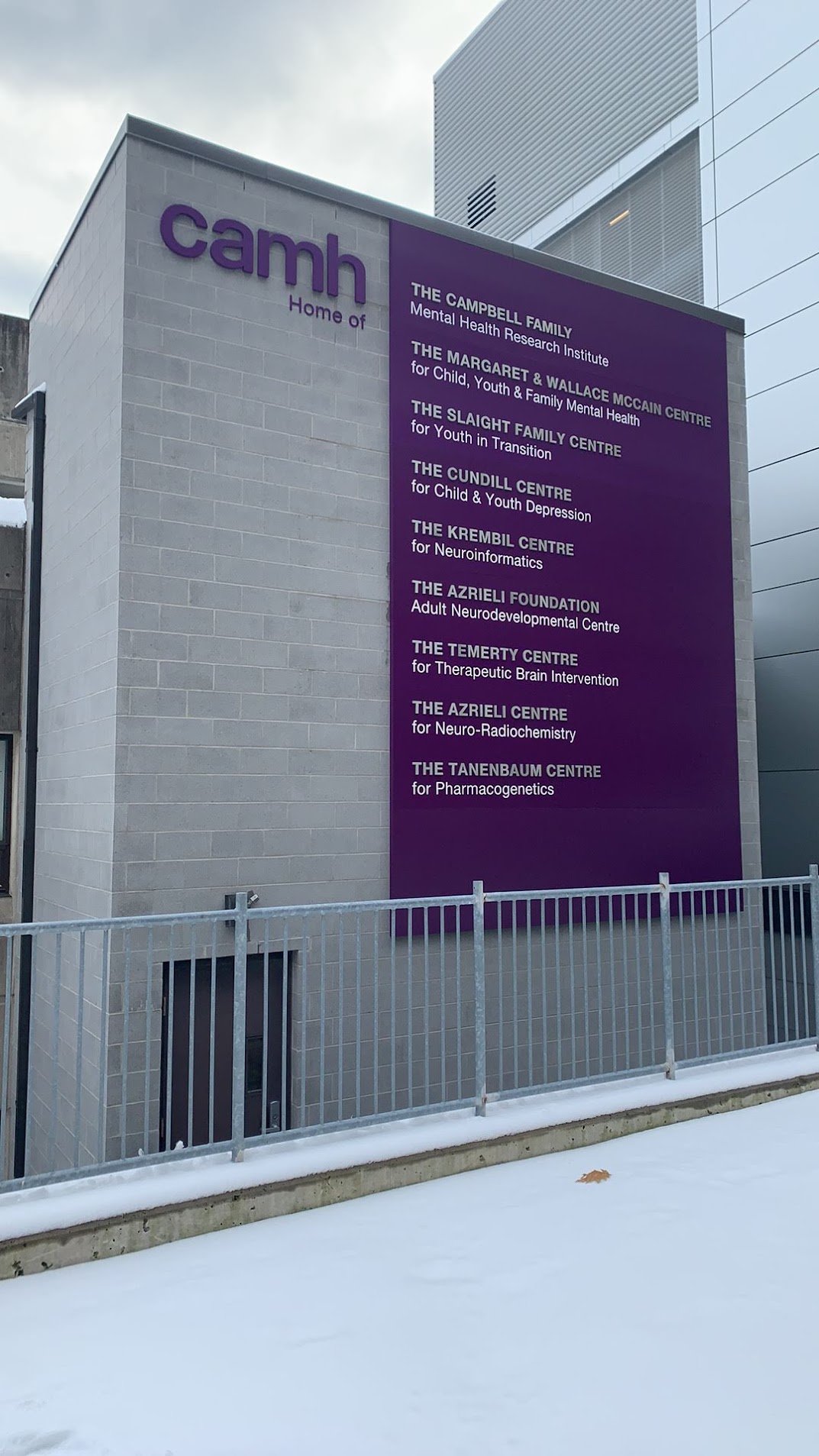 CAMH Black Clinician Self-Care Education