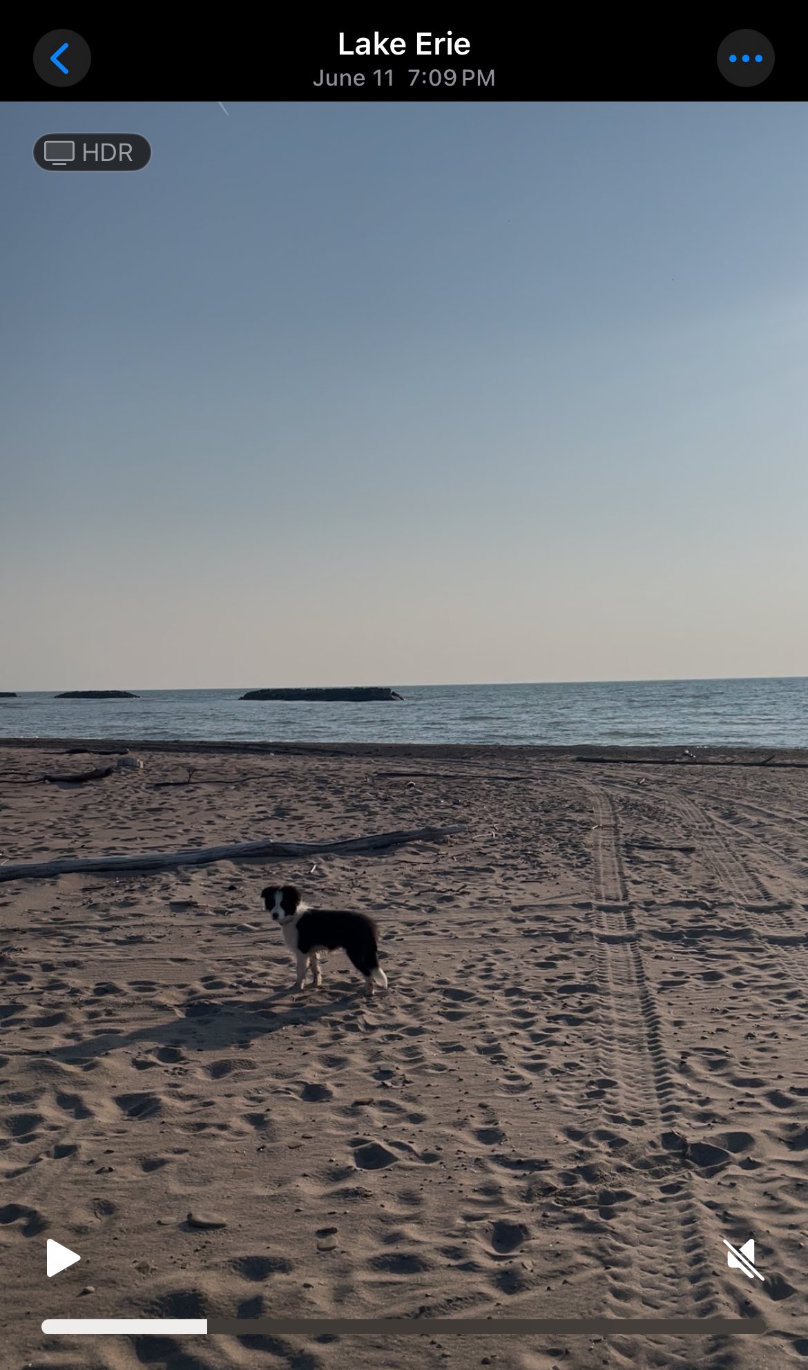 IMG_9335.jpeg