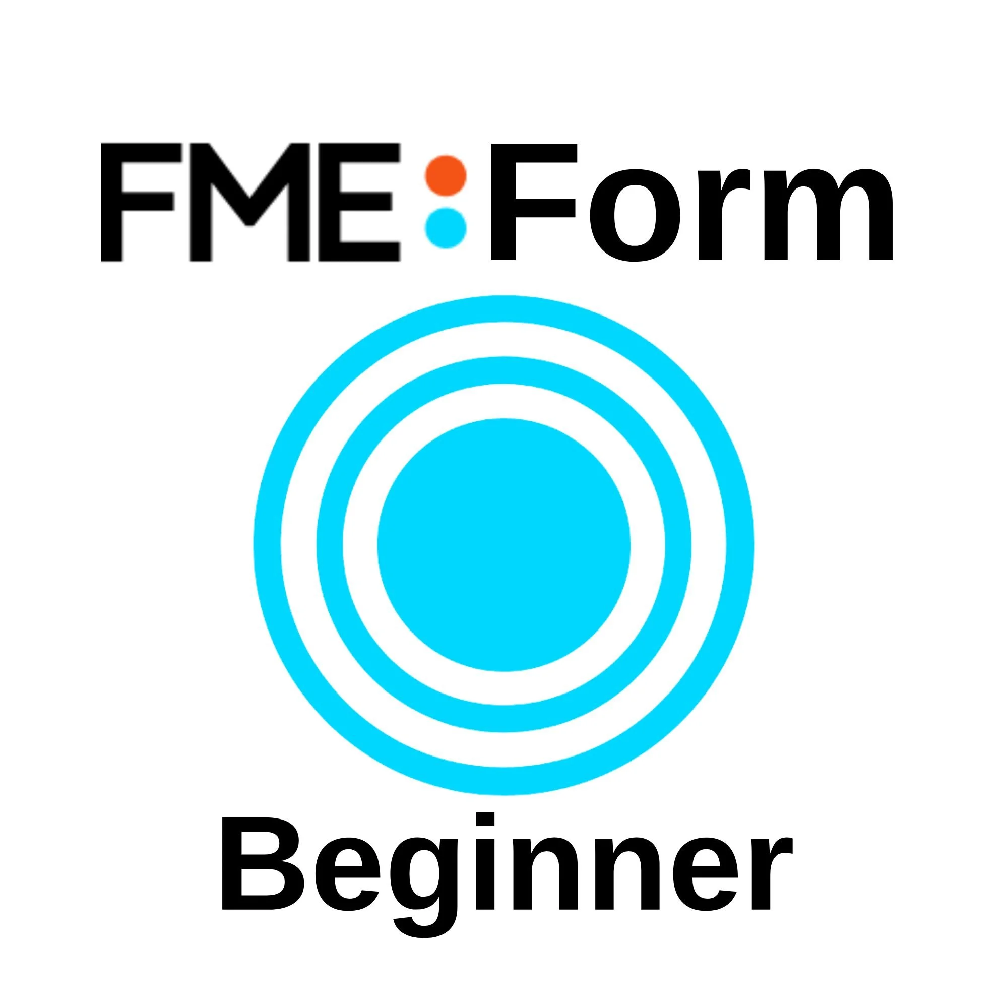 FME Form (formerly Desktop) Beginners Training