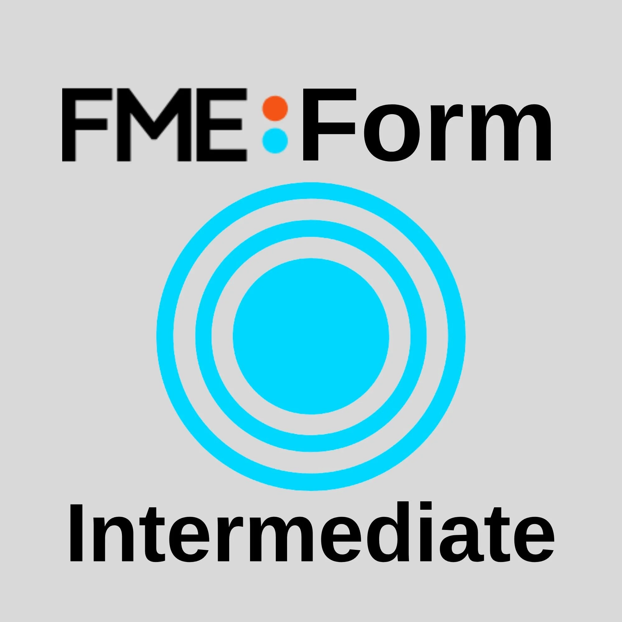 FME Form (formerly Desktop) Intermediate Training