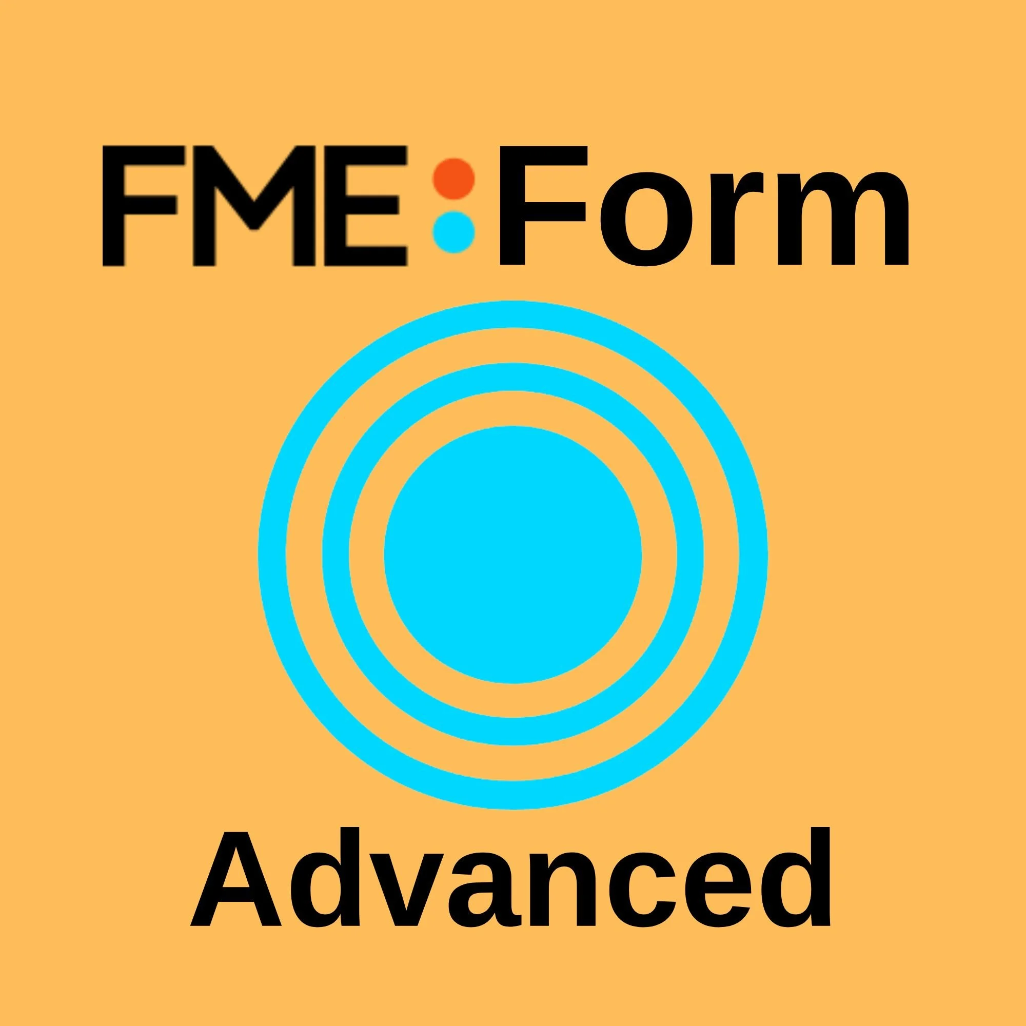 FME Form Advanced Training