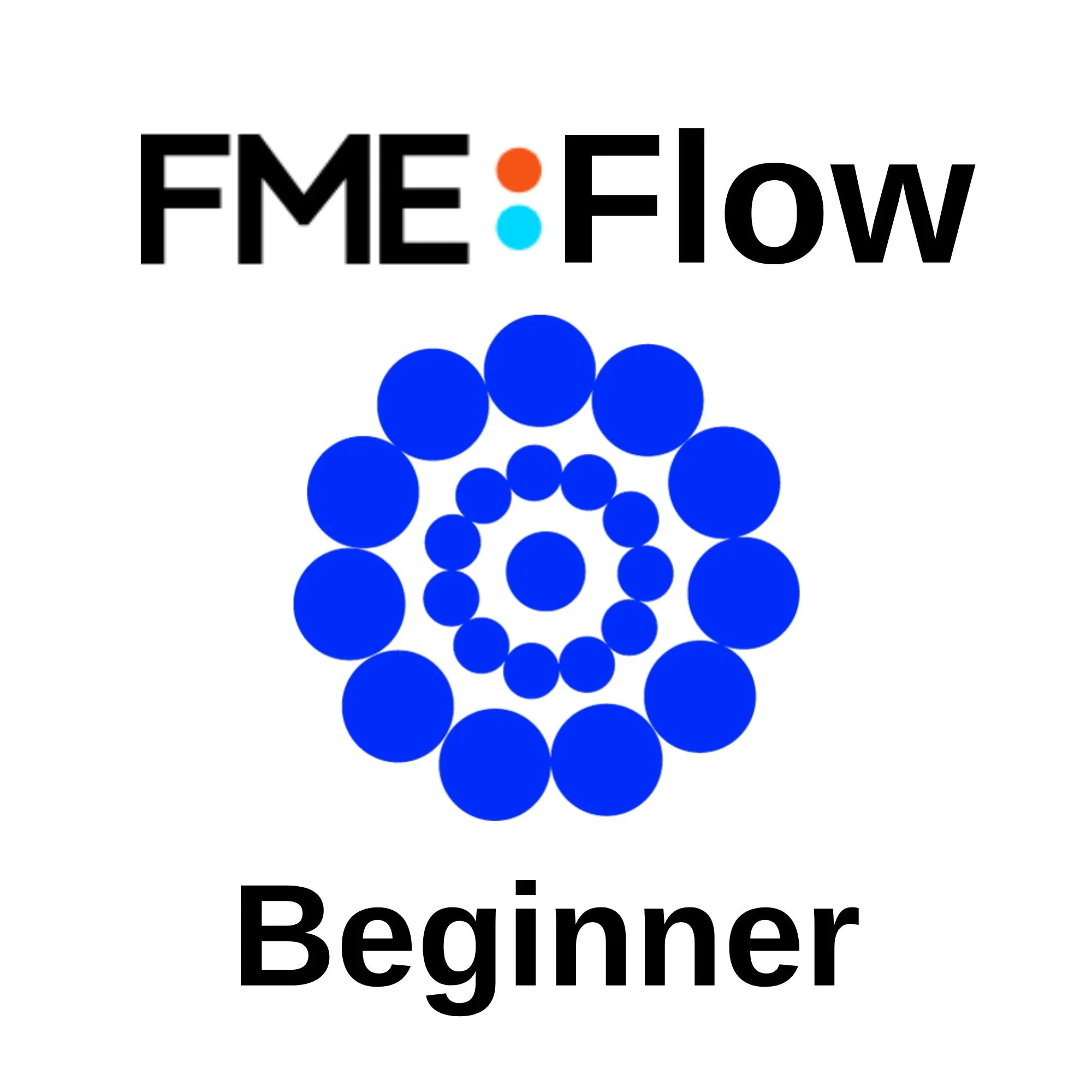 FME Flow (formerly Server) Authoring training