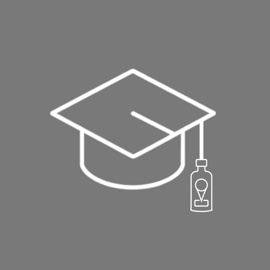 Practical GIS training and capability development from The Spatial Distillery Co.