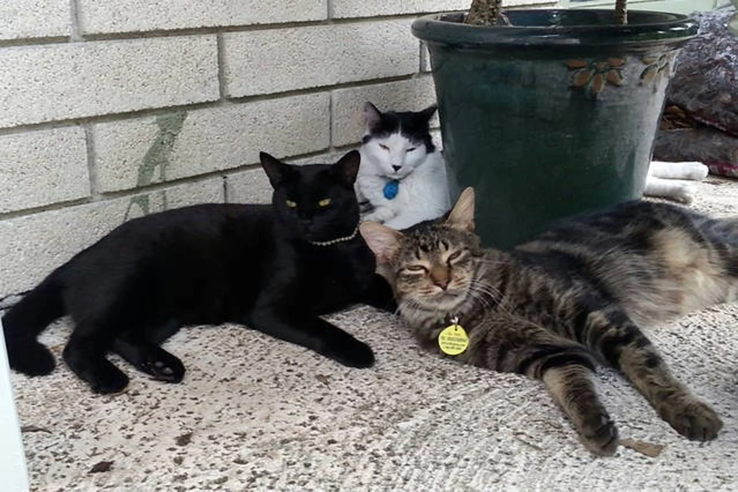 The Three Amigo’s.