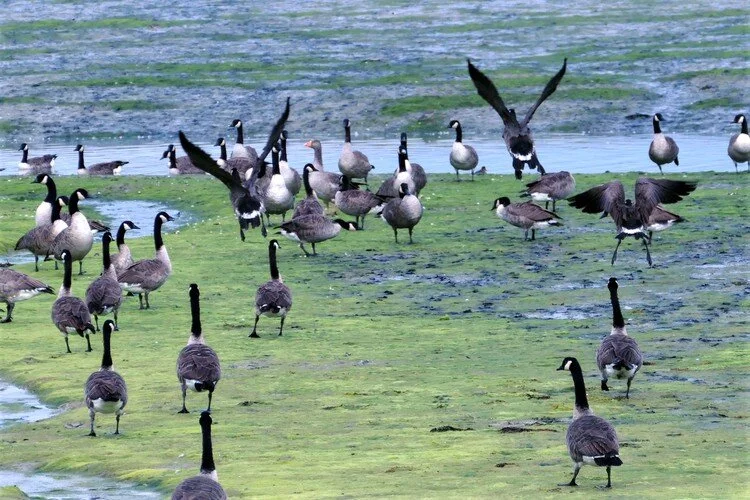 And there they go…