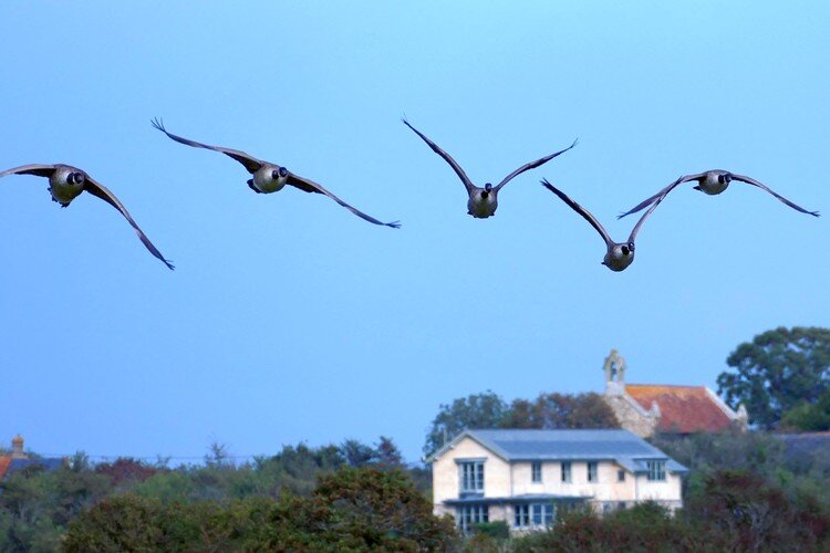 Heading over to where I live..short flight away…