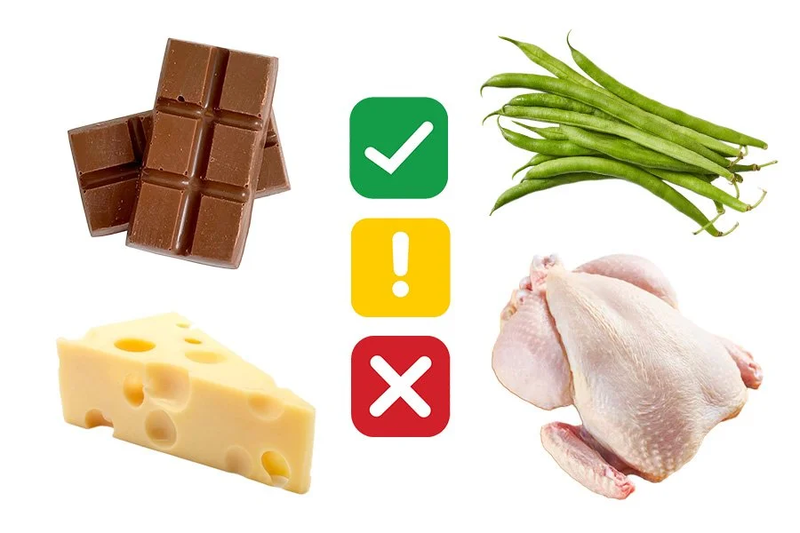 Food Safety