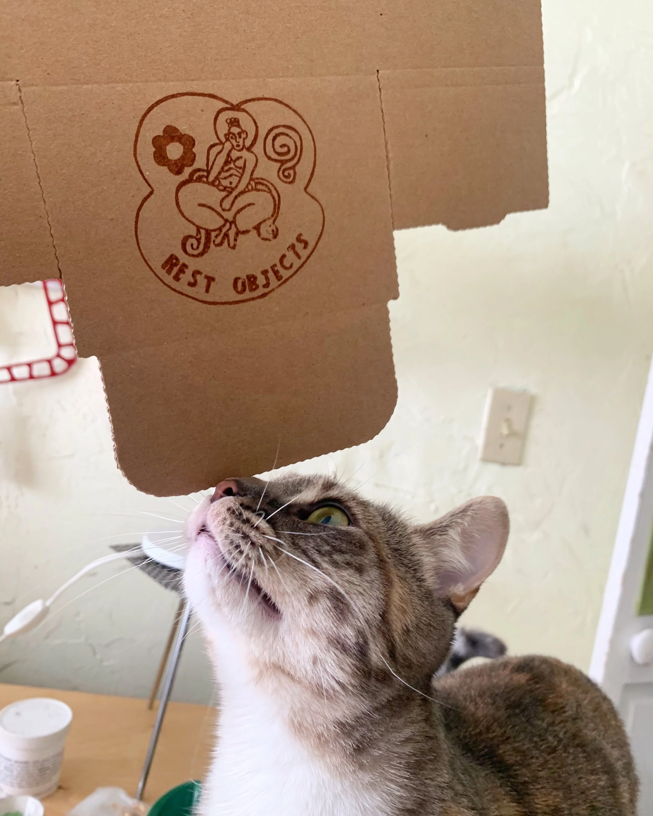 Logo Design for Rest Objects