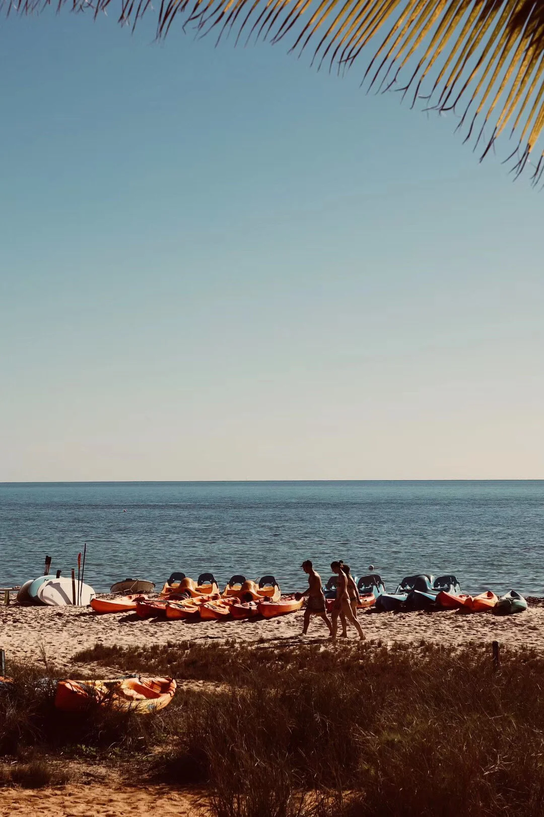 Monkey Mia Jetty, Perth, WA (2018.6.28)