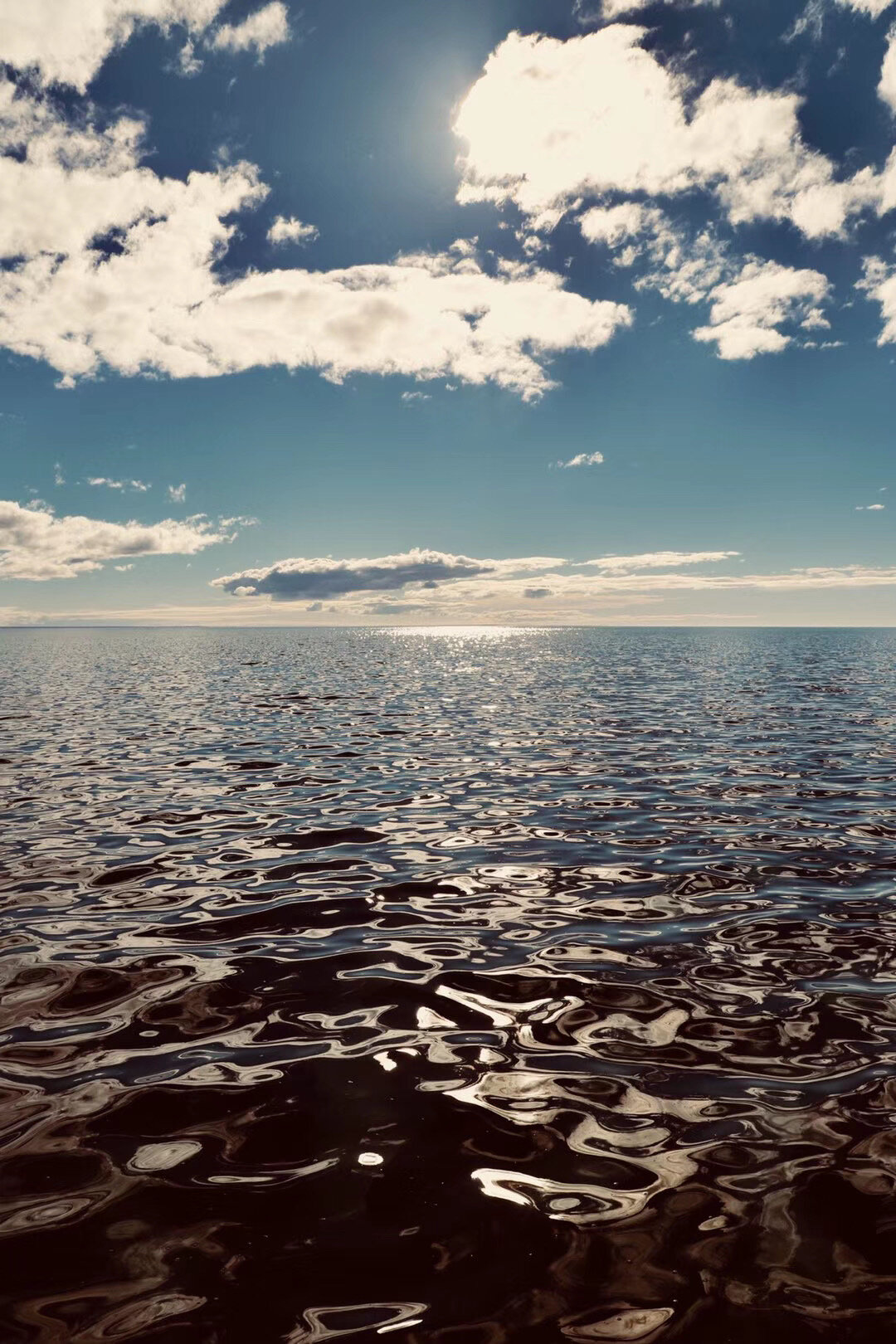 Monkey Mia Jetty, Perth, WA (2018.6.28)