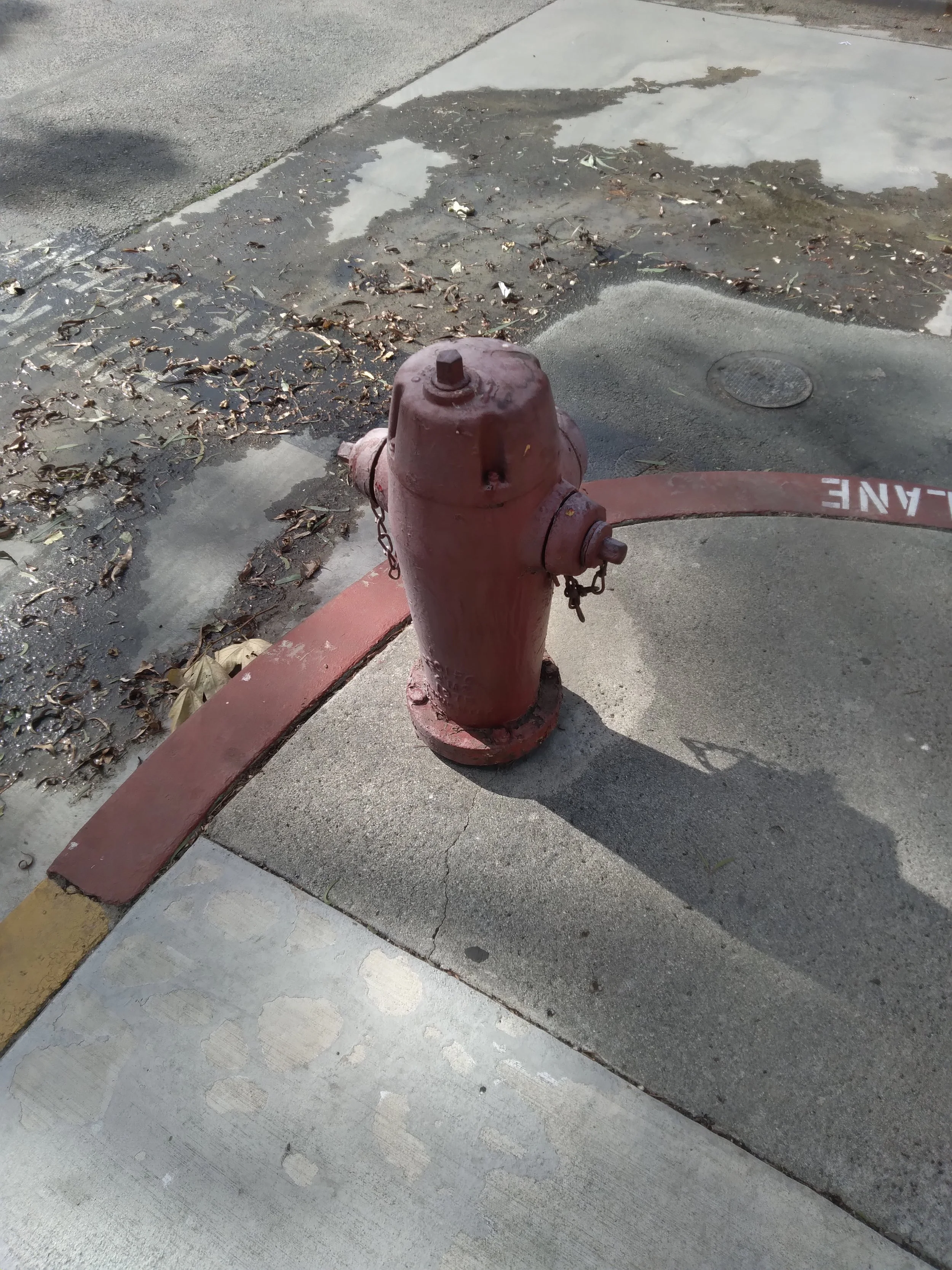 One Object, Infinite Angles