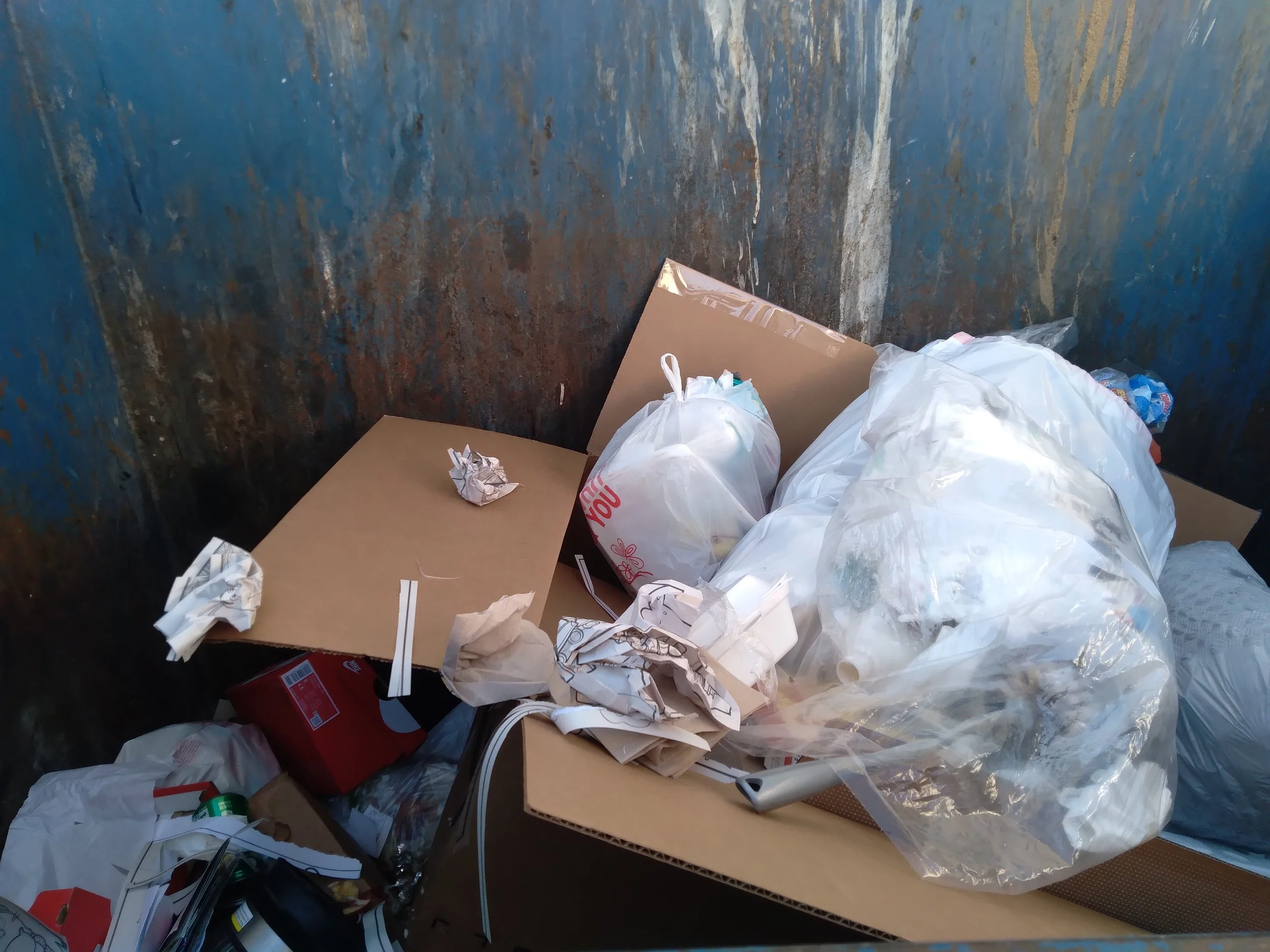 Wednesday, November 13, 2024