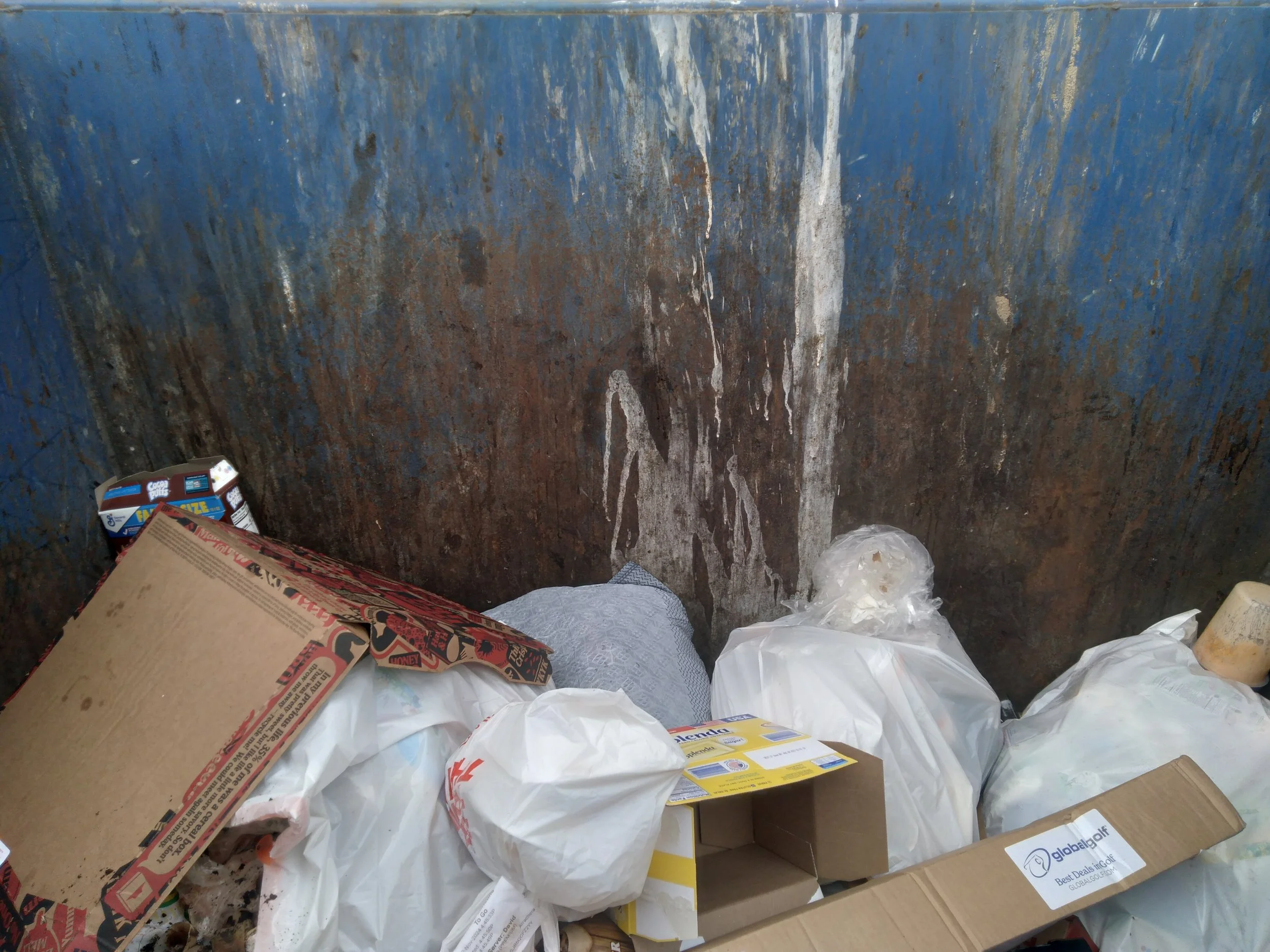 Saturday, November 23, 2024