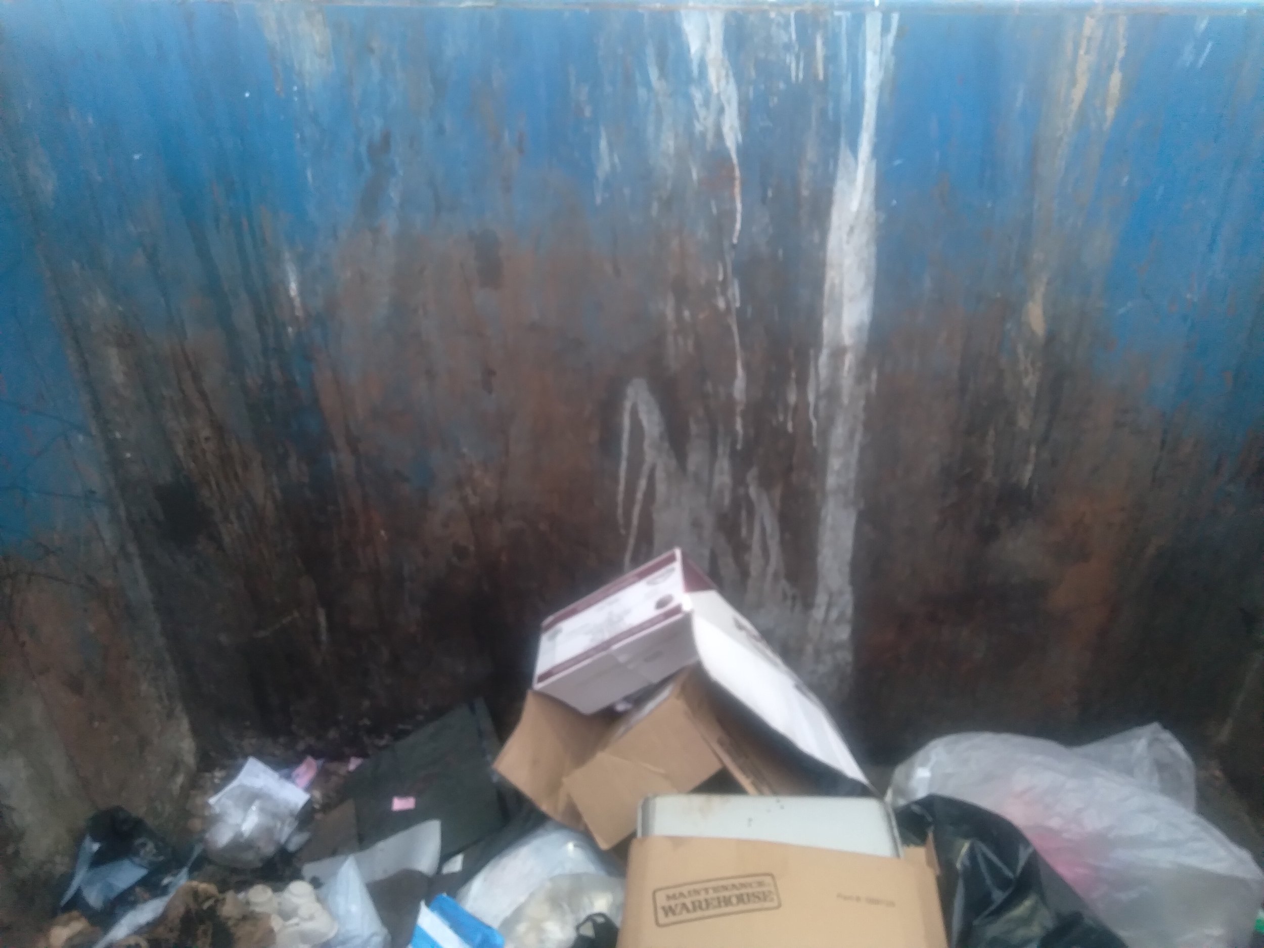 Wednesday, November 20, 2024