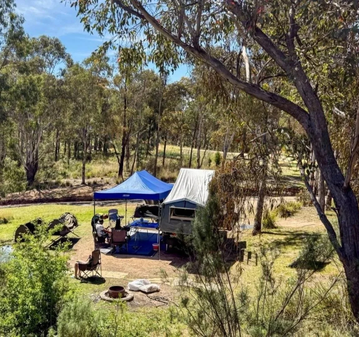A grey camper trailer and blue gazebo with camp chairs and campers is surround by green and brown bushland.