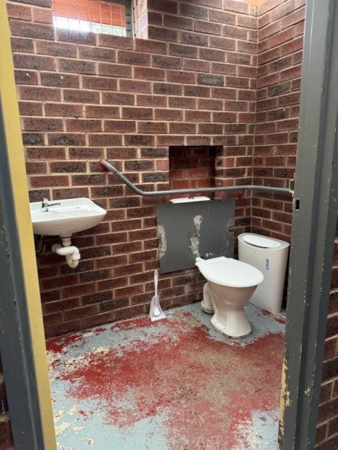 A white toilet and white wall mounted basin against red brick walls and a red and blue painted floor