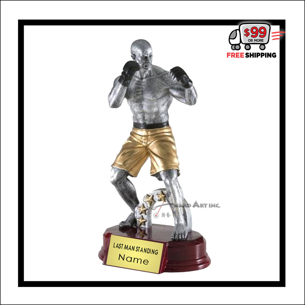 MMA.jpg