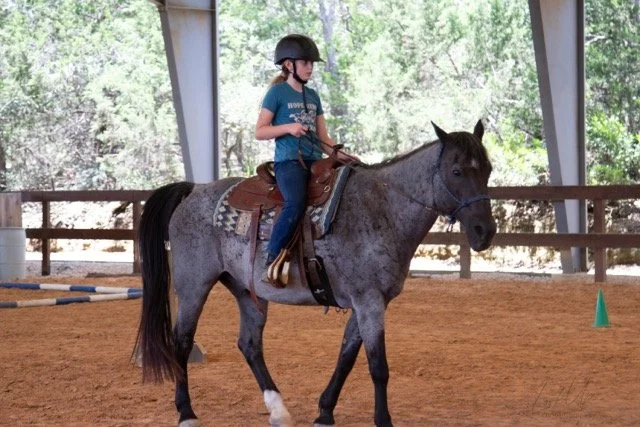 IMG_7951 Medium.jpeg