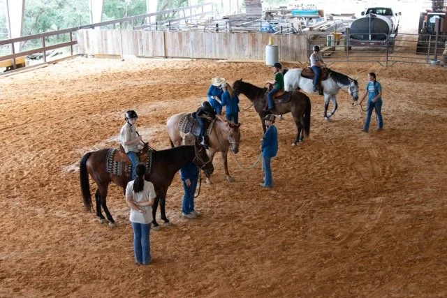 IMG_9544 Medium.jpeg