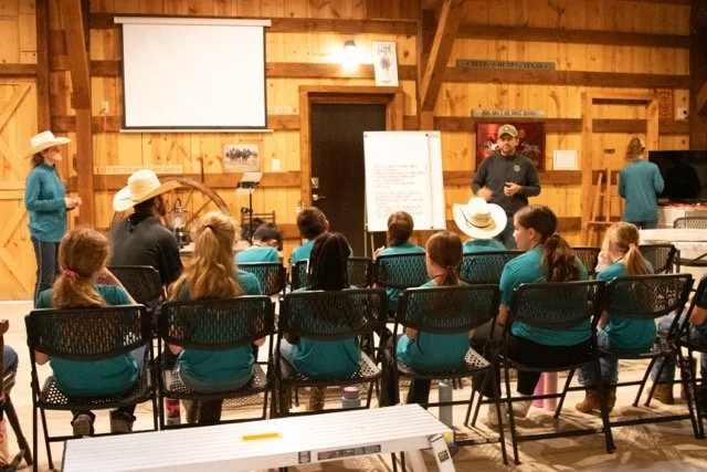 IMG_8252 Medium.jpeg