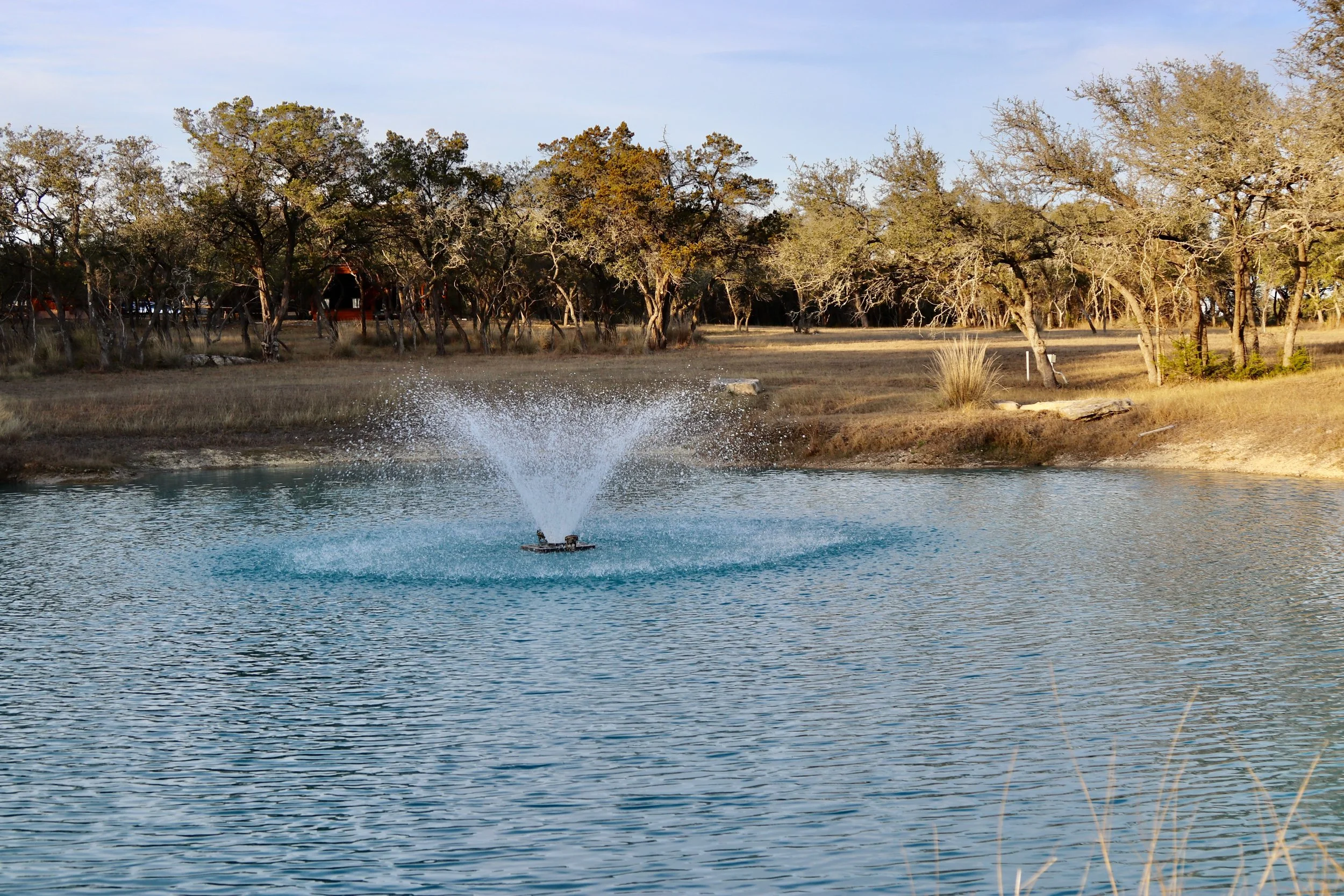 Hope Reins in Texas Pond with Fountain