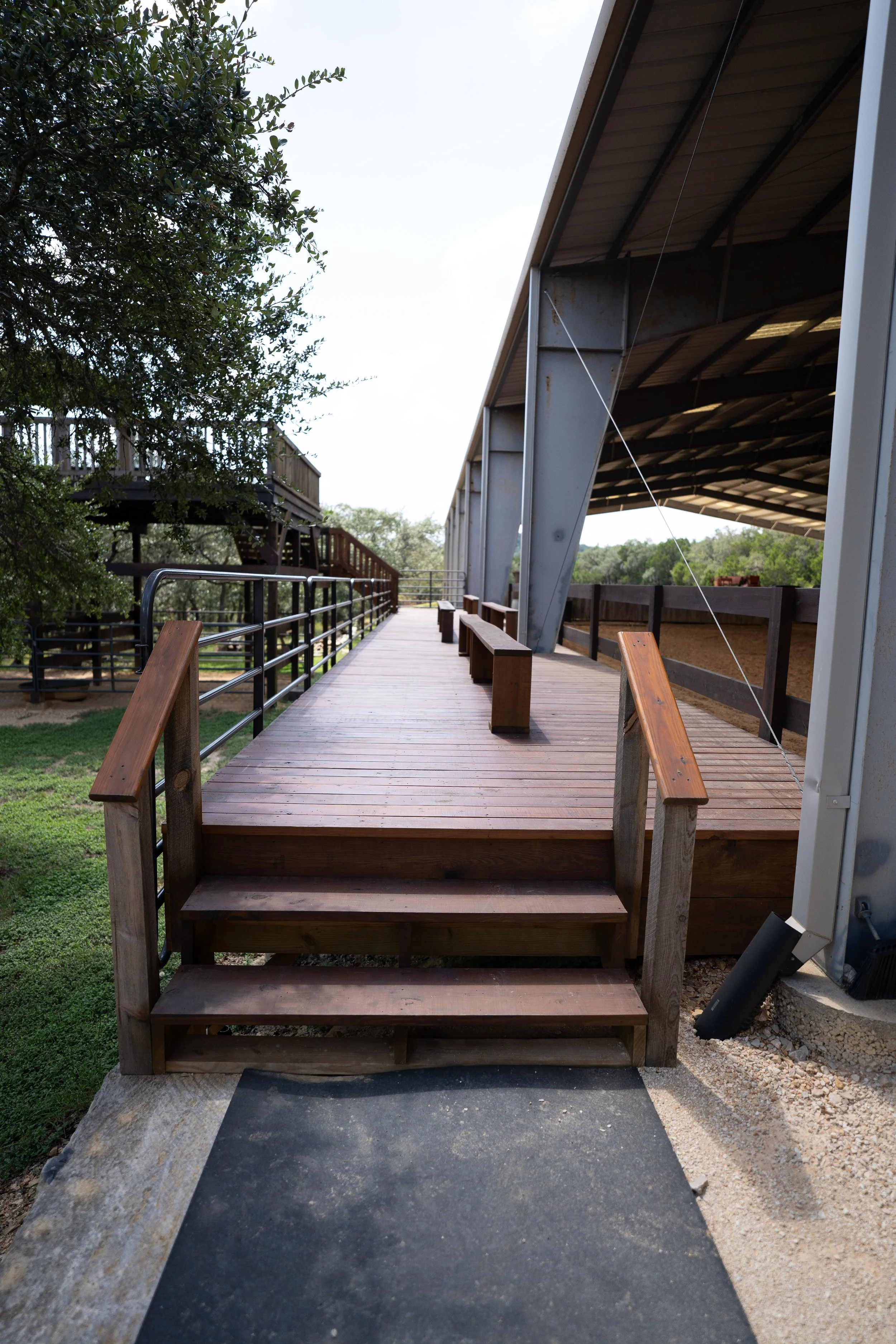 Hope Reins in Texas Deck