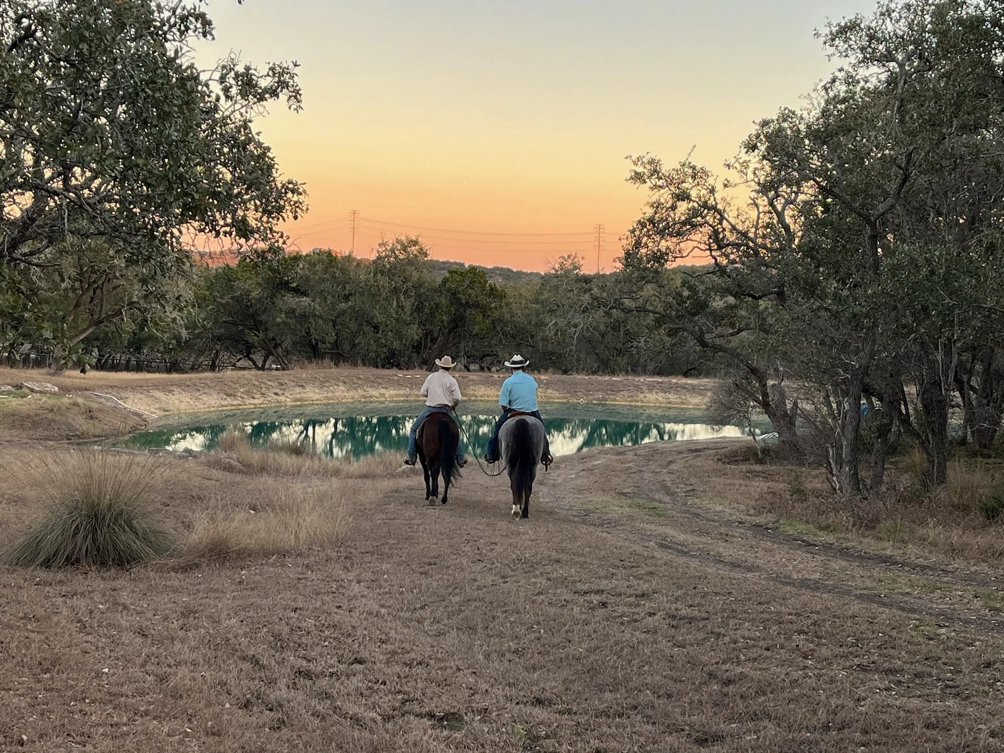 Hope Reins in Texas Pond and Horses