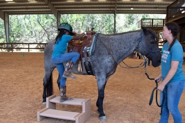 IMG_7953 Medium.jpeg