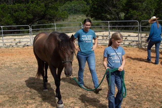 IMG_7703 Medium.jpeg