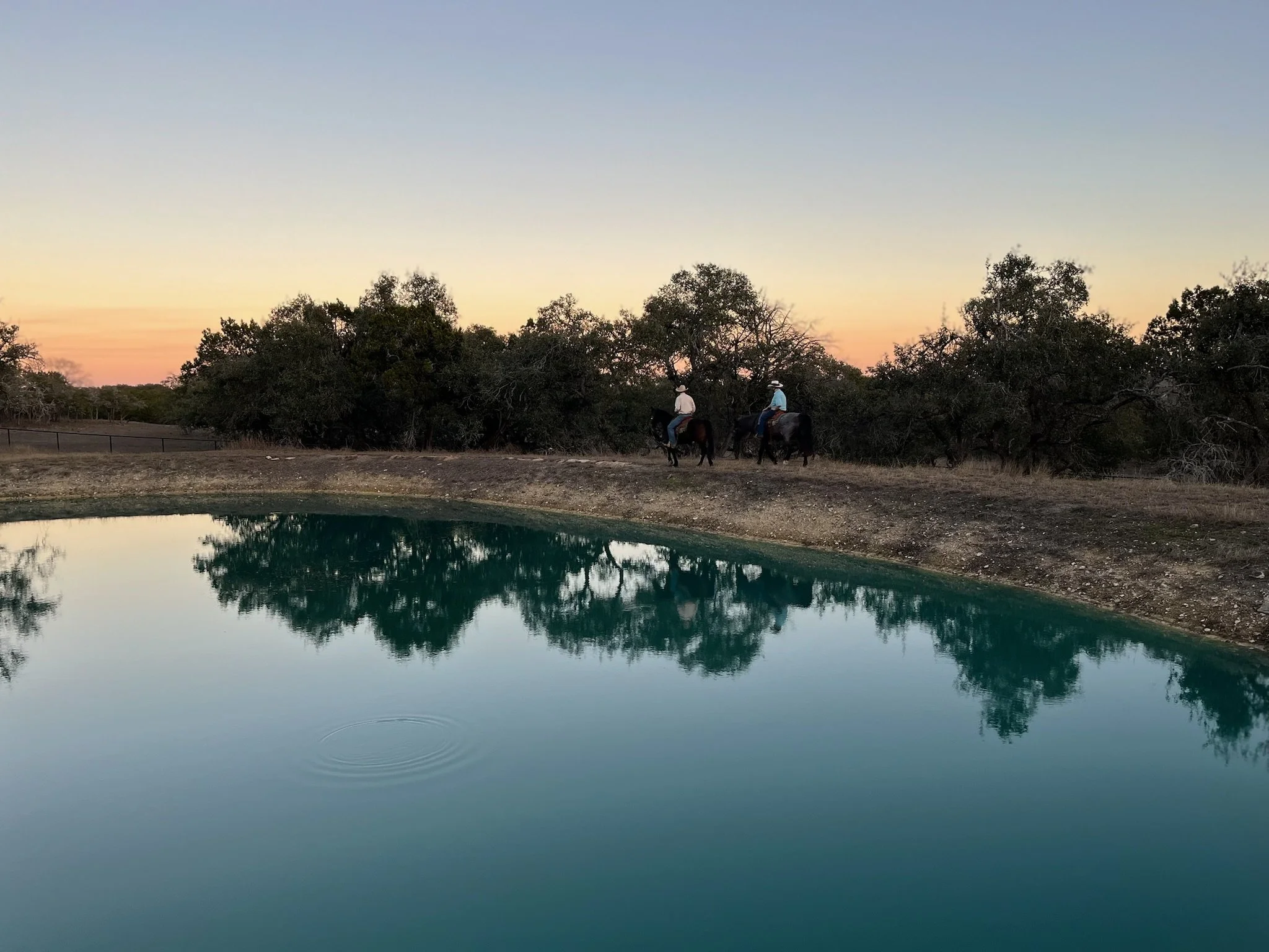 Hope Reins in Texas Pond and Horses