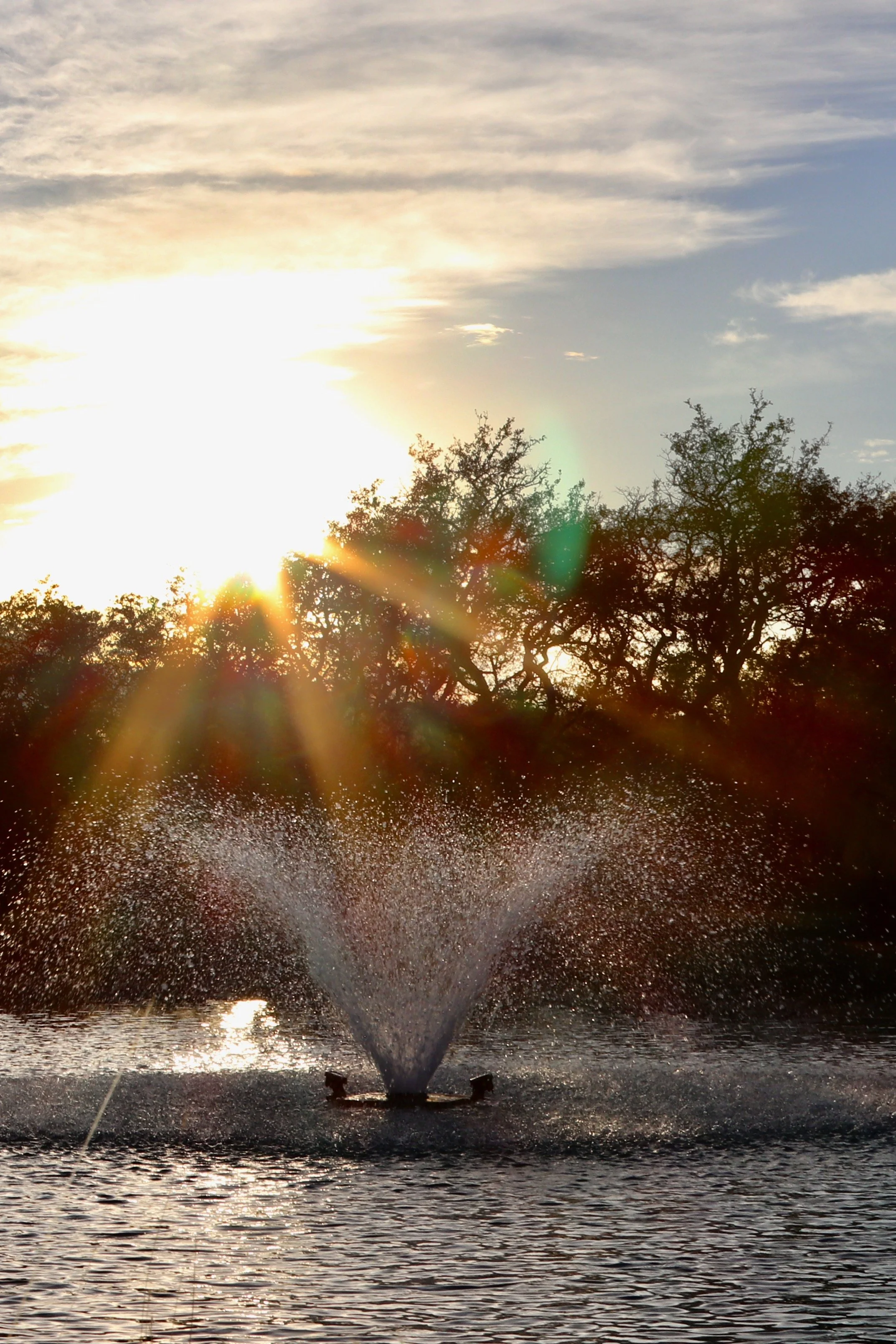 Hope Reins in Texas Pond with Fountain