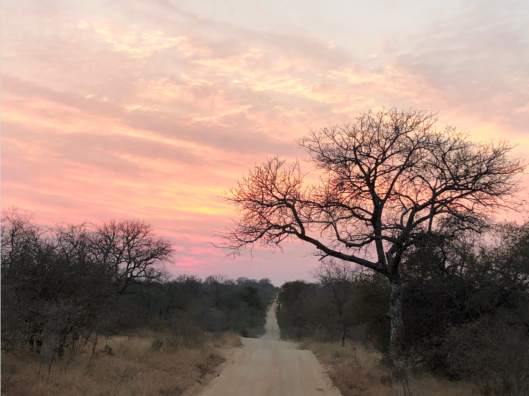 Limpopo, South Africa