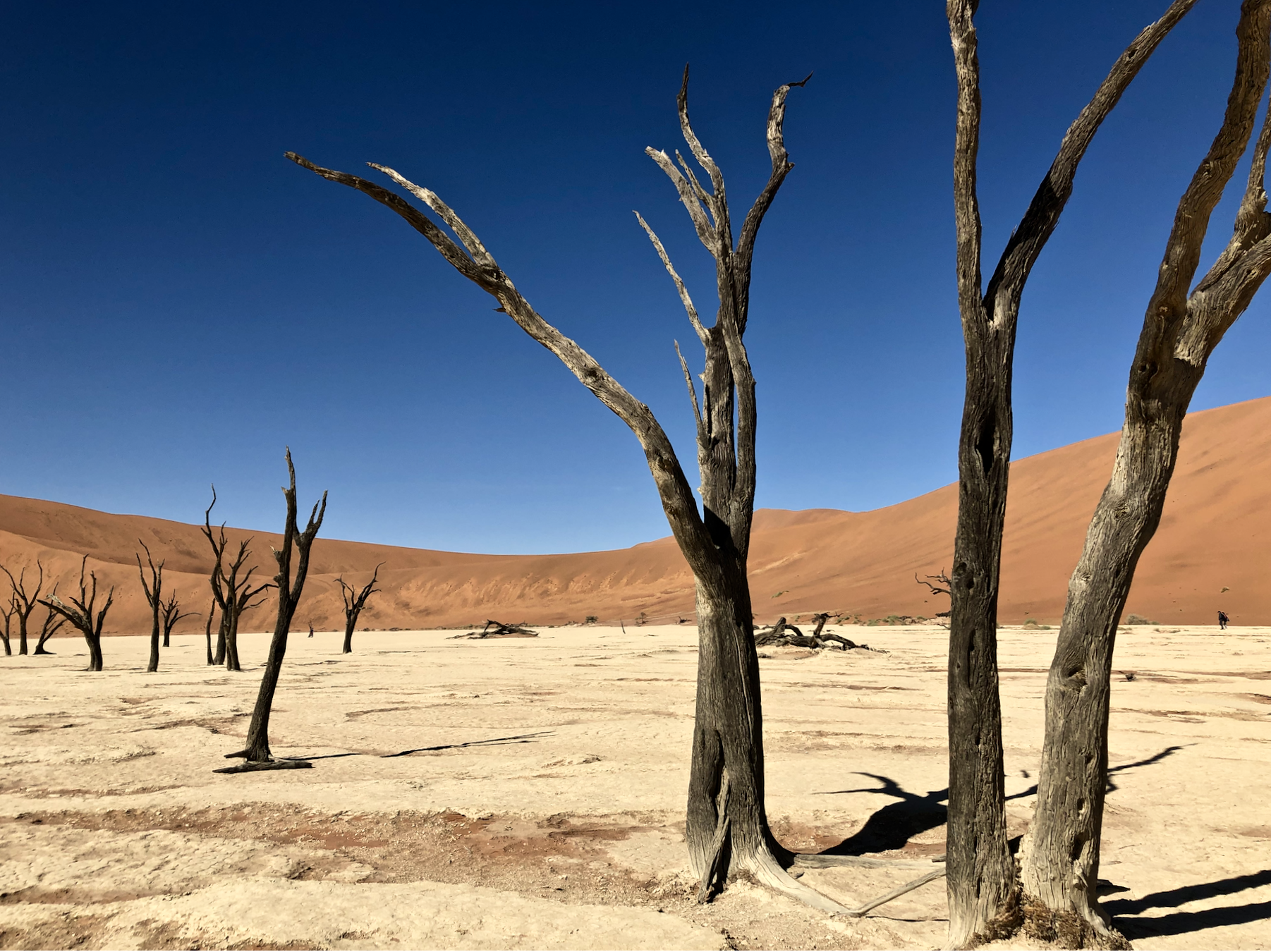 Namib-Naukluft National Park, Namibia