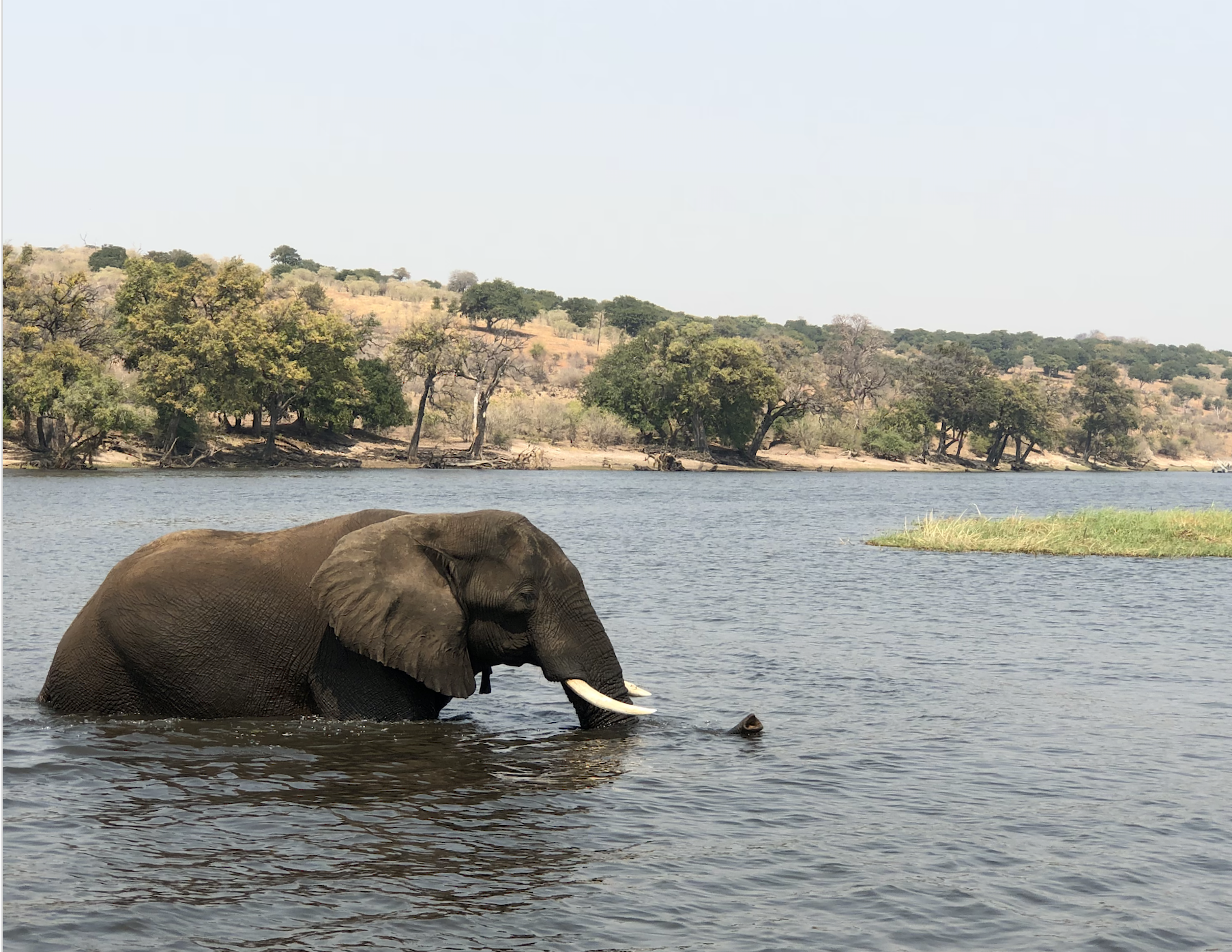 Chobe National Park, Botswana