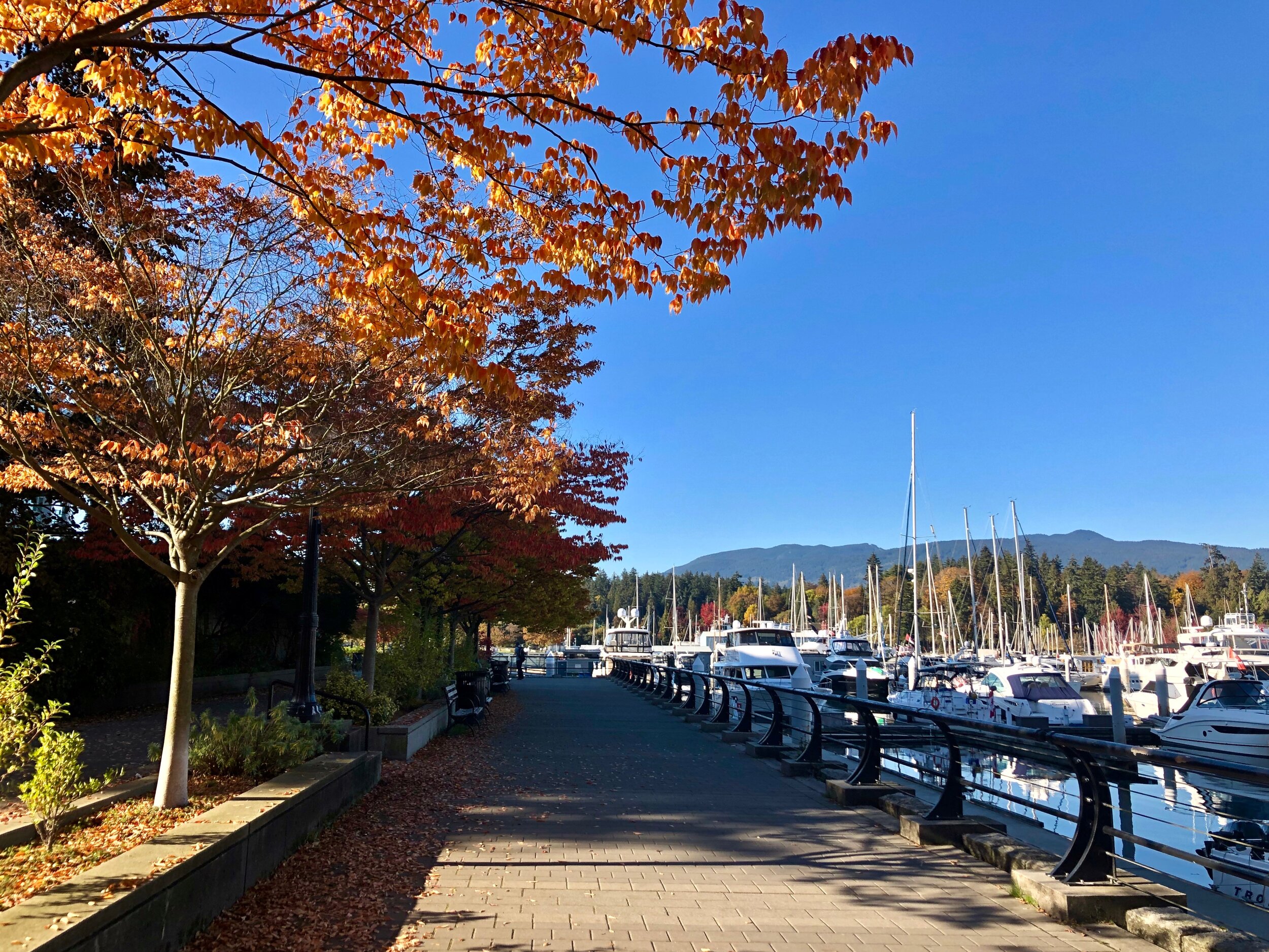 Vancouver Harbour
