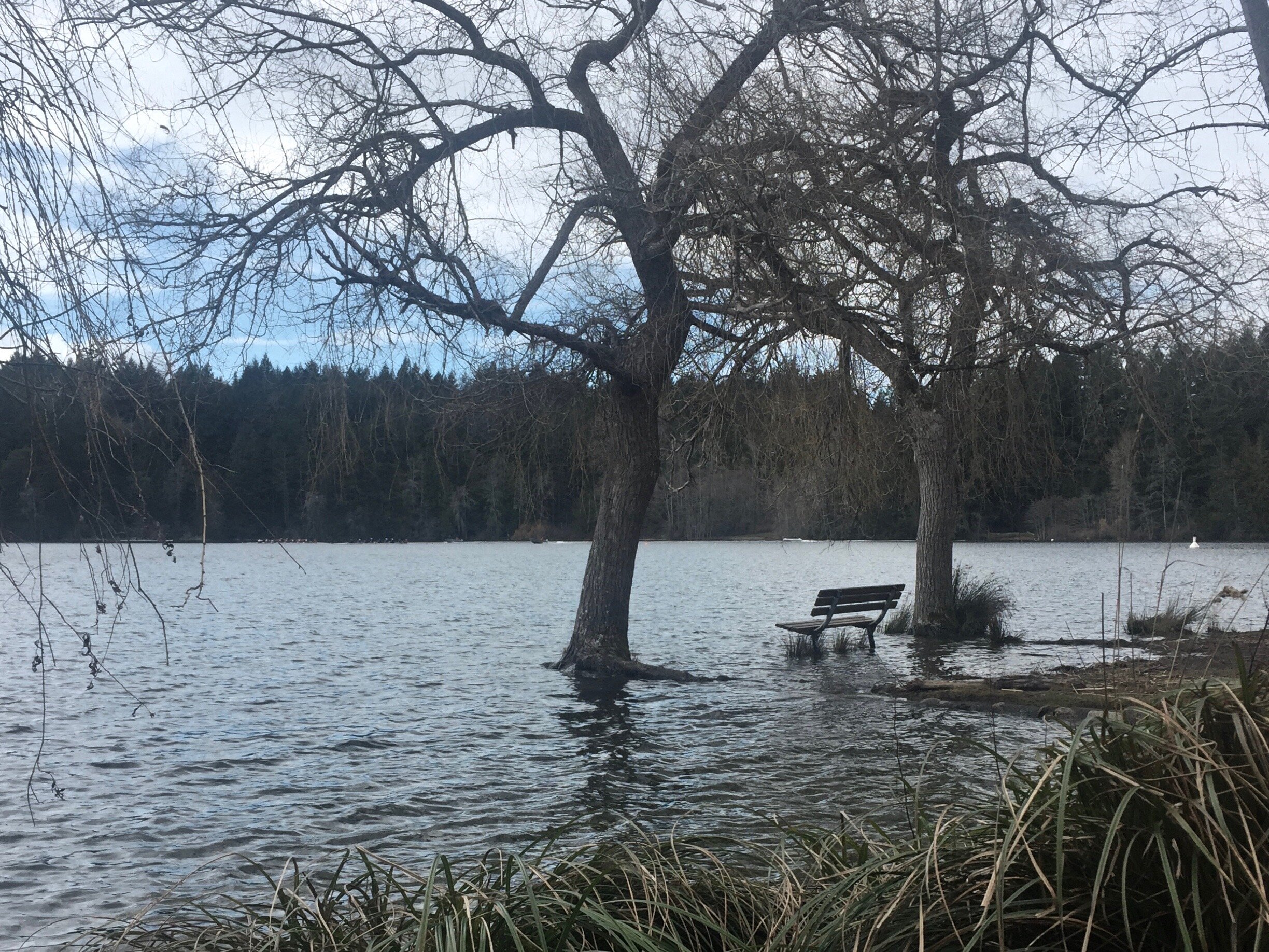 Elk Lake, Saanich