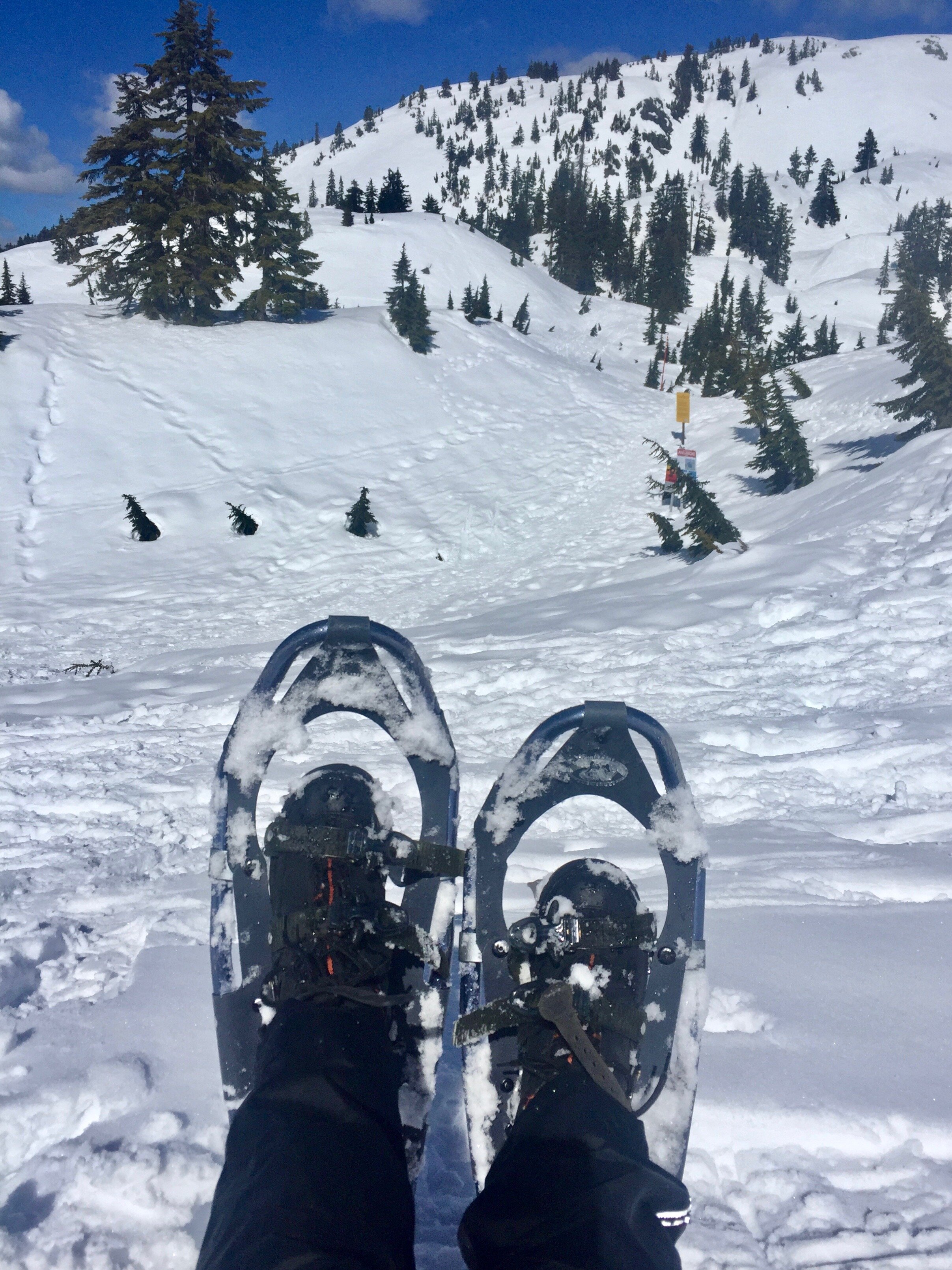 Cypress Mountain, West Vancouver